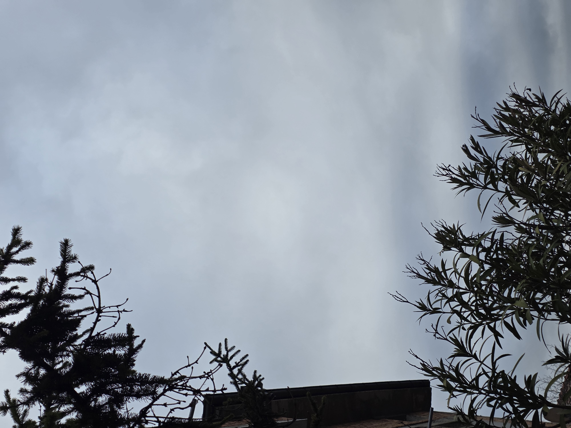The image depicts a cloudy sky, with tree branches in the foreground. The left side of the image contains branches of a coniferous tree, appearing dark against the gray sky. The right side features a tree with elongated, dark leaves. Below the trees in the center, there appears to be part of a building's roof, constructed with dark materials. The building's location is Yagodovo, Bulgaria. The specific environment includes the sky conditions and the architectural structure in Yagodovo.