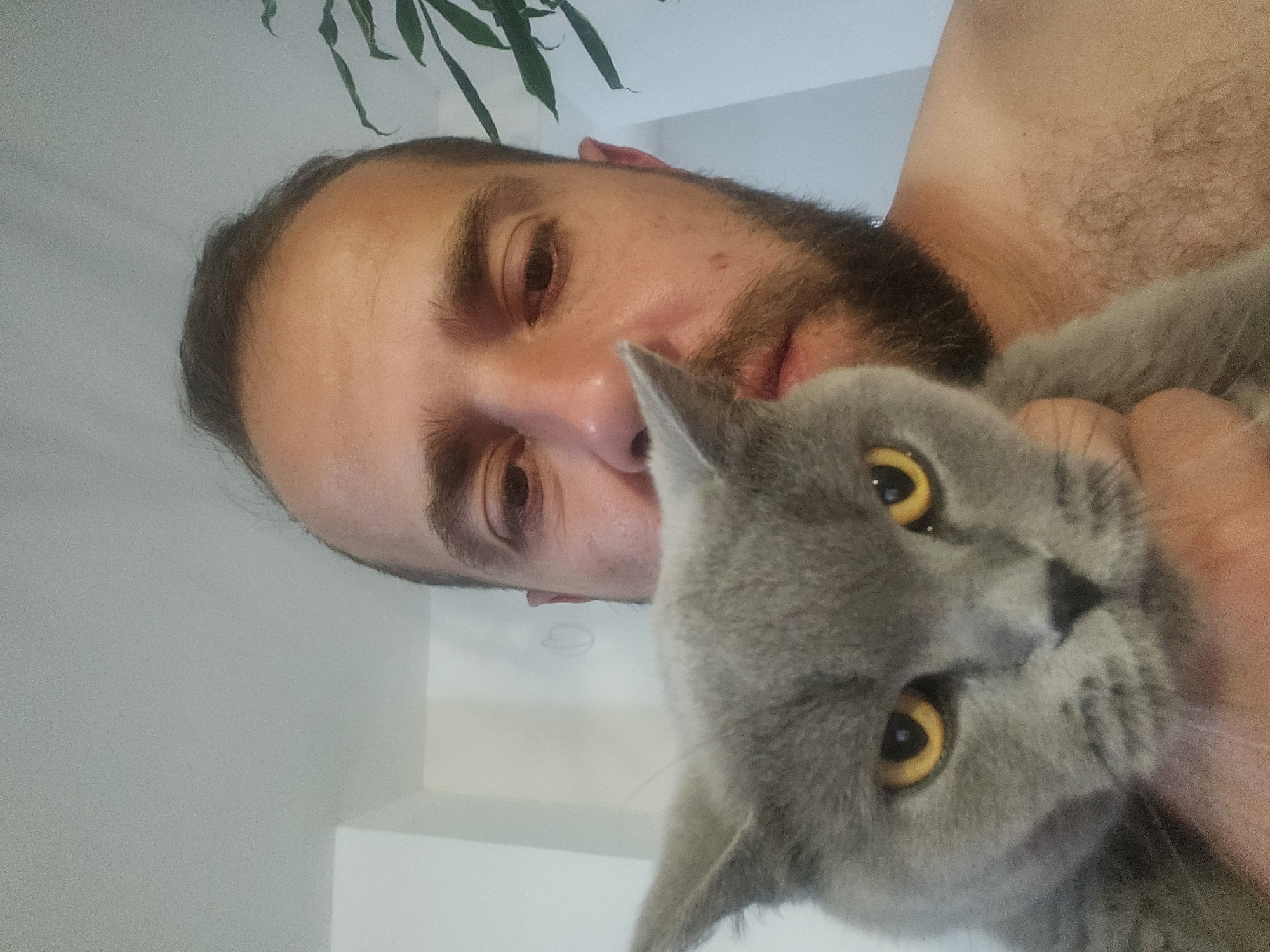 A shirtless man with a beard and short dark hair holds a grey cat with yellow eyes in front of his face. The man's face is partially obscured by the cat. The background appears to be an indoor setting with a white wall and a plant visible on the right. The image was taken in Tsarevo, Bulgaria.