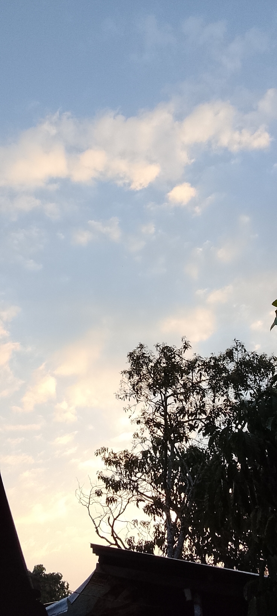 The image depicts a view looking upwards towards a pale blue sky with scattered white and yellowish clouds. In the foreground, the dark silhouettes of tree branches and leaves are visible against the sky. Below the trees, the dark, angled roof of a building is present. The lower portion of the image also shows a sliver of a dark, possibly brown, object on the far left. The scene suggests an outdoor setting, likely in the late afternoon or early morning given the lighting. This image was taken in Padang Dalom, Indonesia.