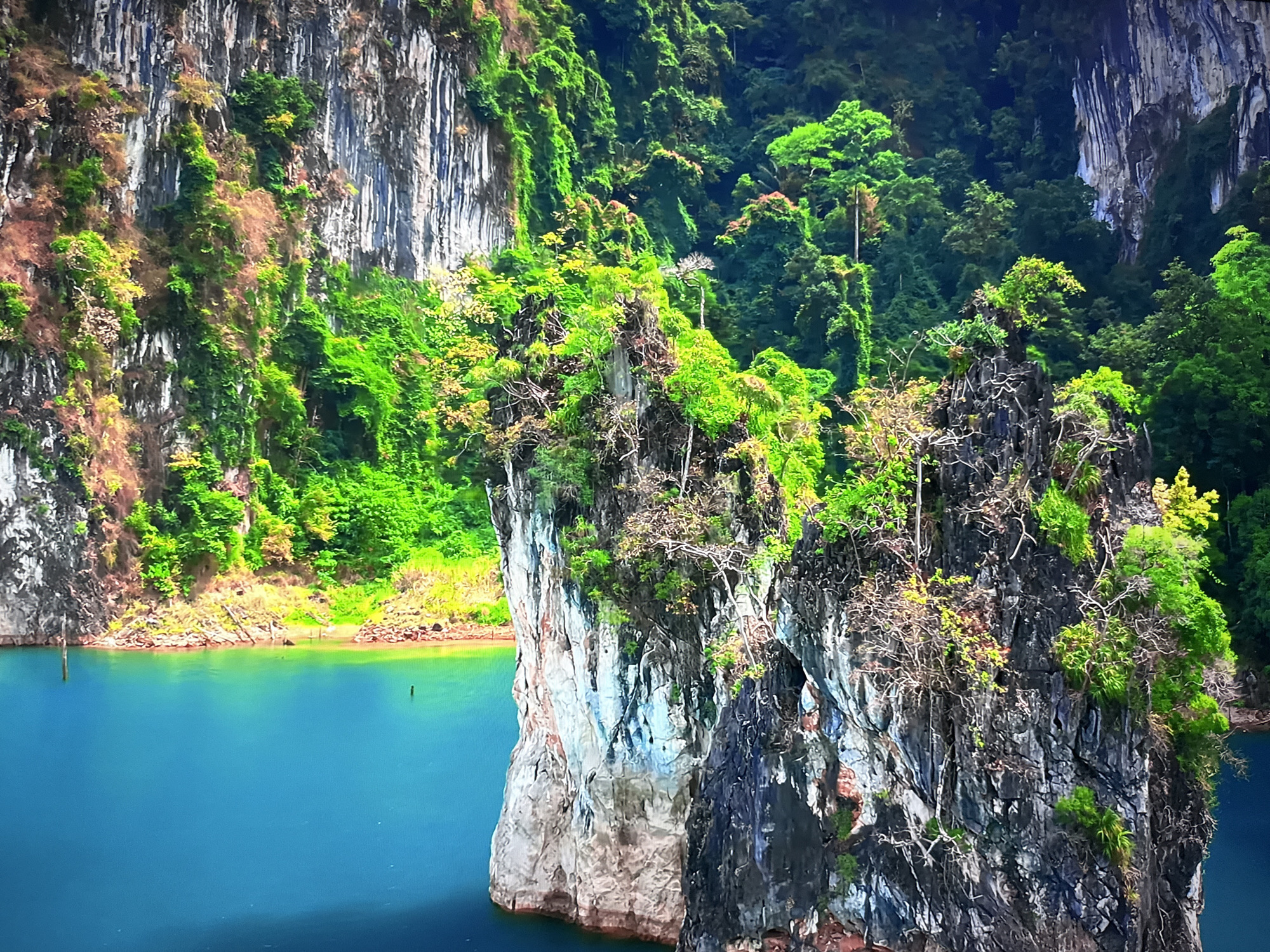The image depicts a striking natural landscape featuring towering limestone cliffs covered in lush green vegetation and trees. The cliffs rise dramatically from a calm, deep blue body of water, likely a lake or reservoir. The foreground is dominated by a large, rugged rock formation jutting out of the water, also heavily vegetated. The water's surface is smooth, reflecting the vibrant colors of the surrounding cliffs and foliage. In the background, more cliffs and dense forest cover extend into the distance, creating a sense of depth and wilderness. The overall impression is one of a remote and pristine natural environment. This scene is not located in Burgas, Bulgaria.