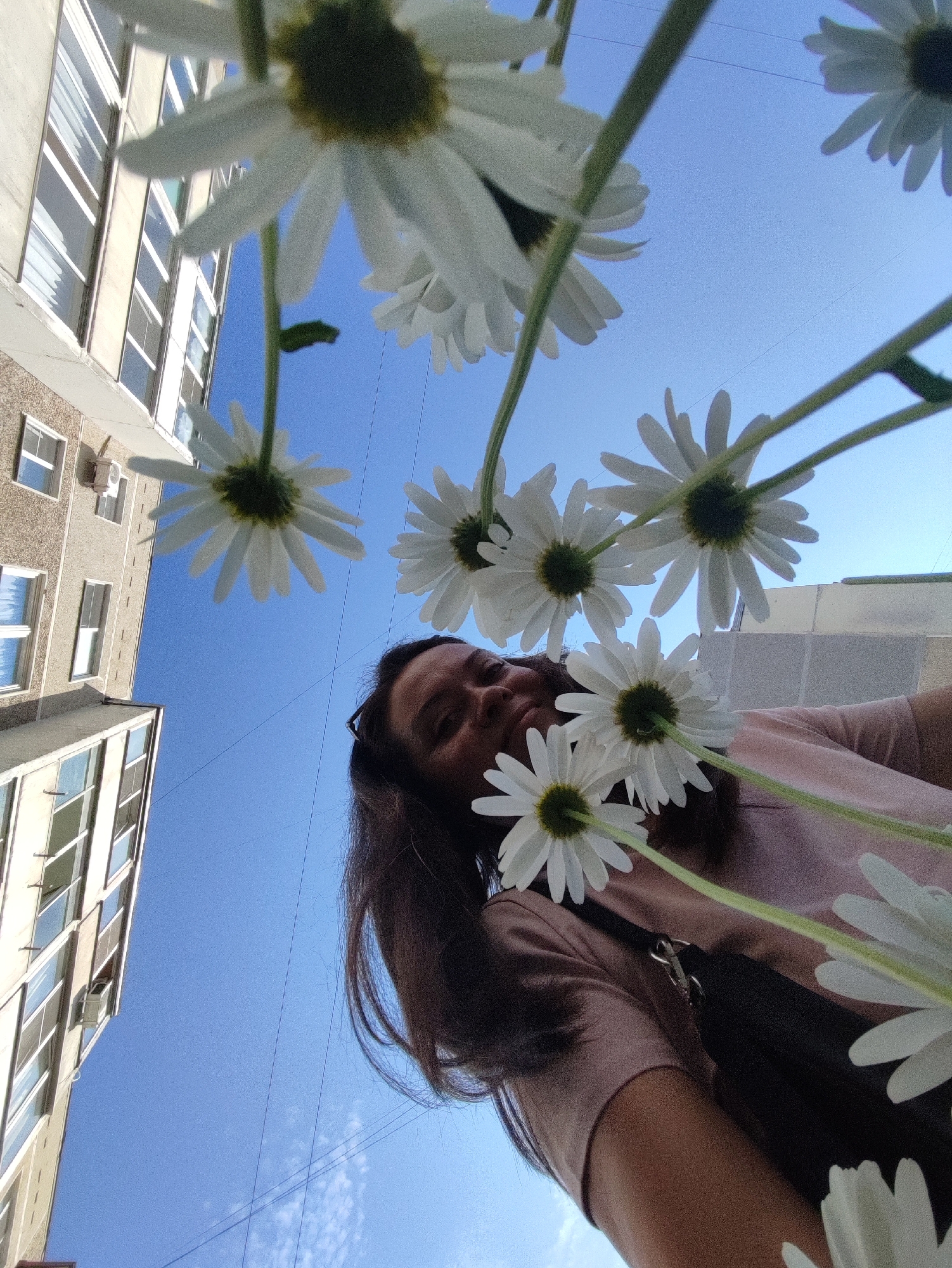 An extreme low-angle, wide shot captures a person lying on their back in the city of Chaikovsky, Russia, looking up at a clear blue sky. Multiple white daisy flowers with yellow centers are in the foreground, obscuring parts of the person and the sky. The person, with dark hair and wearing a pink t-shirt, is partially visible, their face turned towards the camera and looking upwards. Behind them, to the left, are the sides of two multi-story buildings with windows and balconies, suggesting an urban setting. Thin black wires are stretched across the sky in the background.