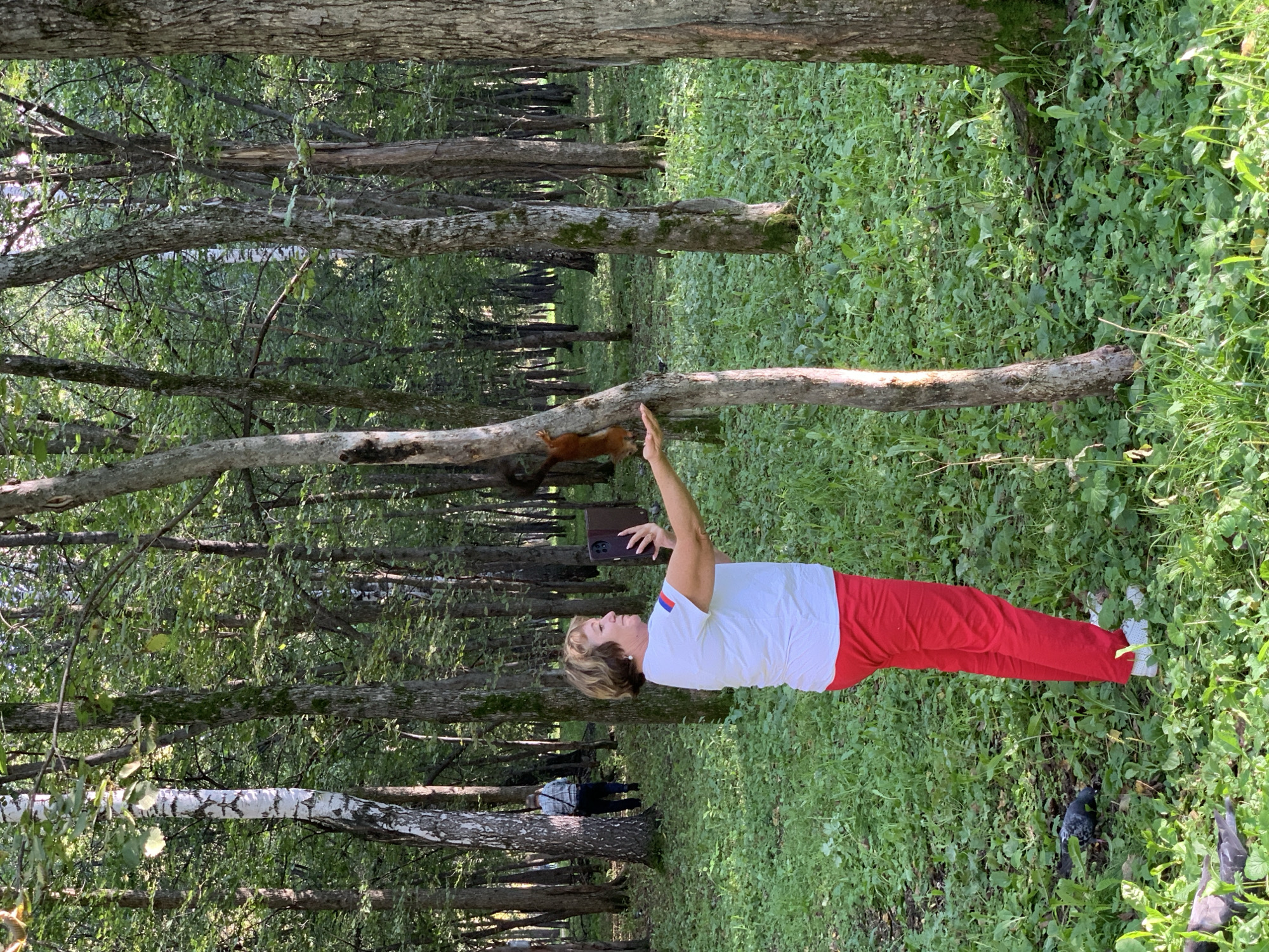 An adult Caucasian woman with short, blonde hair is in a forest, wearing a white t-shirt with Russian flag accents on the sleeve and red pants. She is holding a dark-colored smartphone in her right hand, angled to capture a selfie. Her left hand is extended forward, palm up, towards a squirrel clinging to a tree trunk. The squirrel, with reddish-brown fur, is looking towards the woman's hand. The woman is standing on a carpet of green ground cover with some fallen leaves. In the background, a person wearing a plaid shirt and dark pants is walking away from the camera. The forest environment consists of numerous trees with green foliage and dappled sunlight filtering through. The scene is set in a park in the city of Prokopyevsk, Russia.