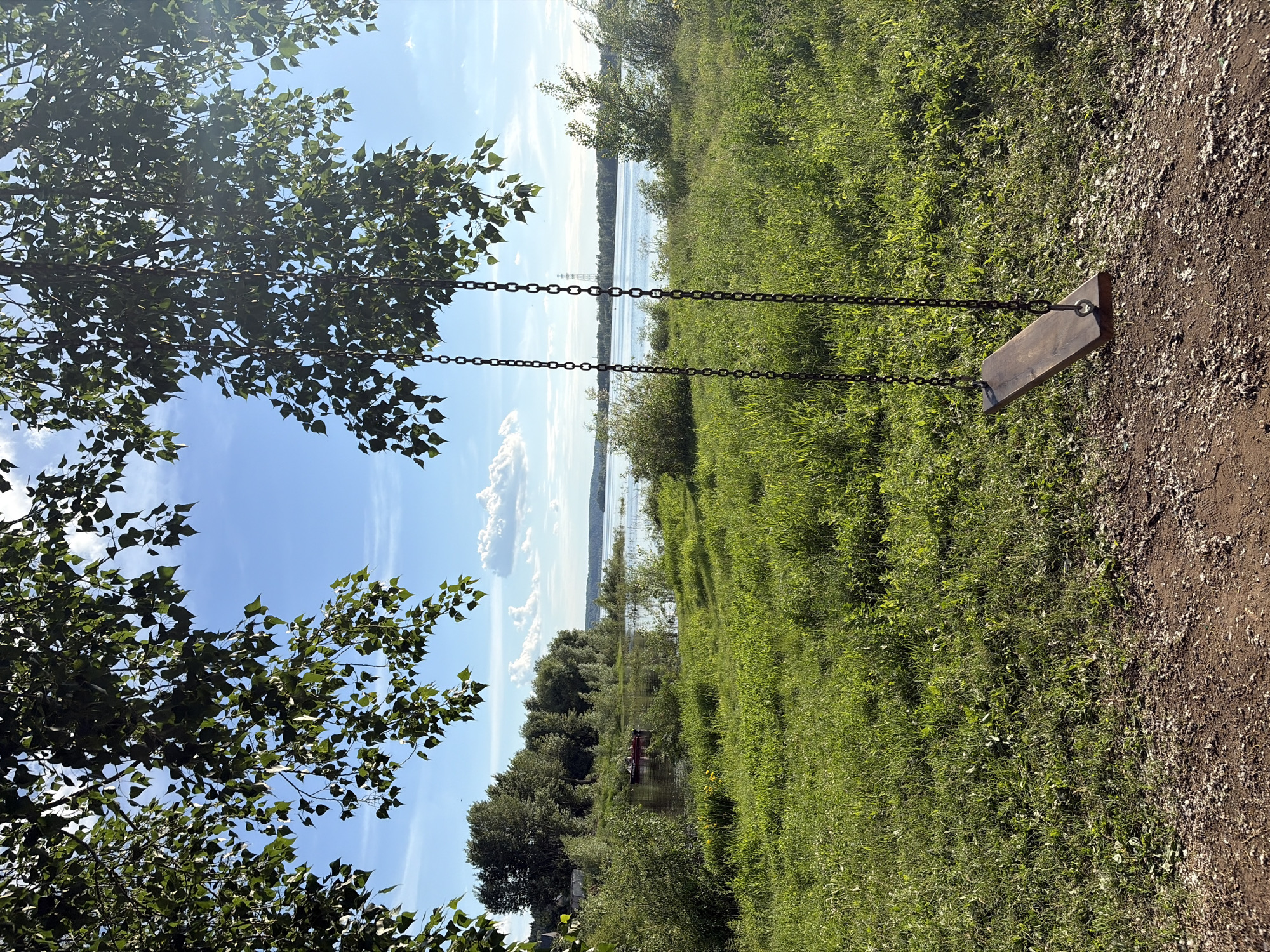 The image depicts a serene outdoor scene, likely in Chaikovsky, Russia, on a bright, sunny day. The foreground is dominated by a wooden swing, its chains suspended from unseen branches of a lush green tree. The swing rests on a reddish-brown dirt path speckled with small white stones, bordering a vibrant green grassy area.
Beyond the immediate foreground, a calm body of water stretches into the distance, reflecting the blue sky dotted with fluffy white clouds. Along the water's edge, a dense line of trees and bushes creates a natural boundary. In the middle ground, a small red boat with two figures can be seen on the water, adding a touch of human presence to the tranquil landscape. The overall atmosphere evokes a sense of peacefulness and natural beauty. The time of day appears to be midday, given the bright sunlight casting clear shadows. There is no visible text in the image.