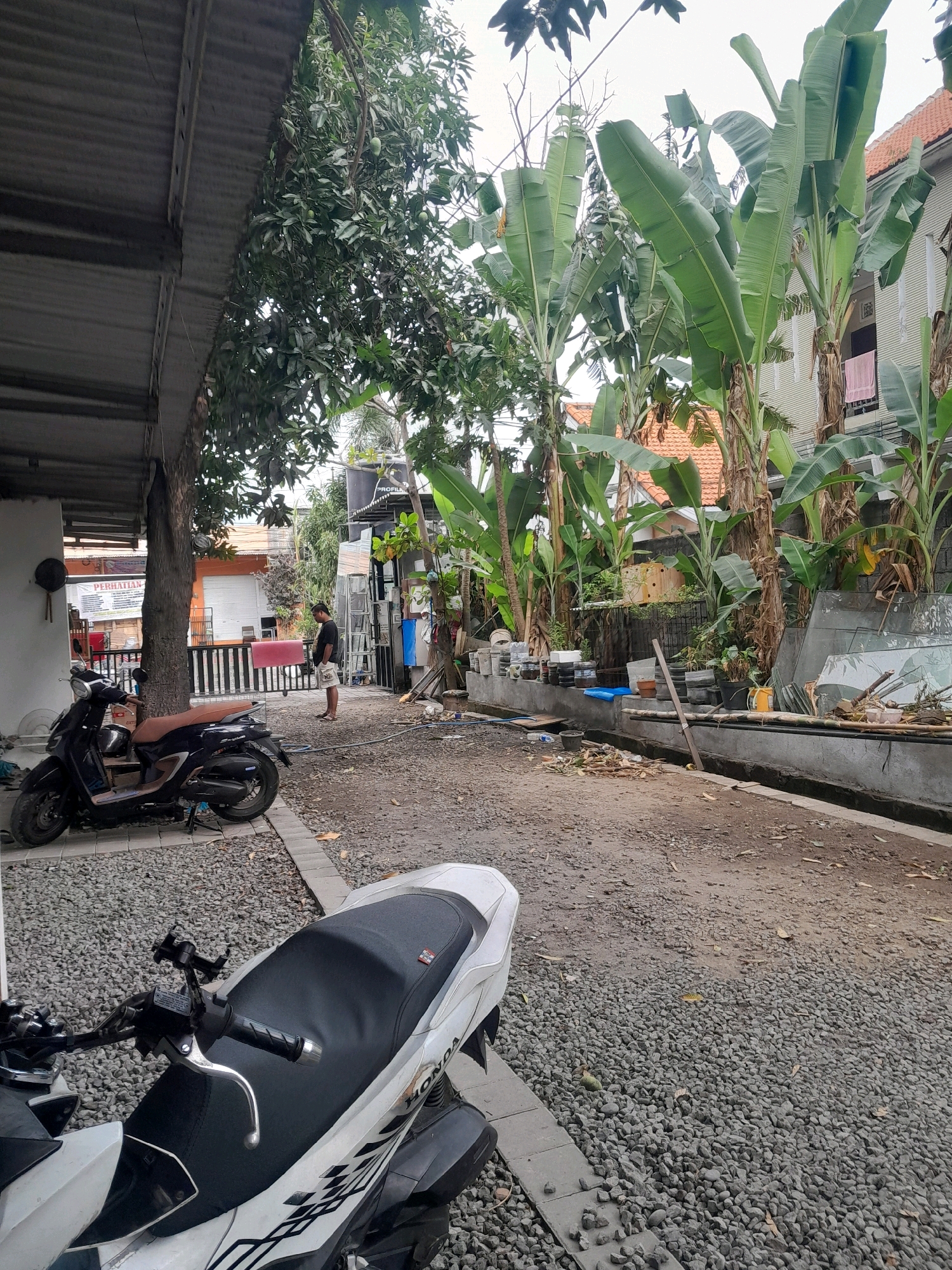 A black scooter is parked in front of a corrugated metal roof structure. A man in white shorts and a dark t-shirt stands near a fence. Behind the fence, there are banana trees, houses with orange tile roofs, and a wall. A white scooter is in the foreground, partially visible. The ground is covered in gravel and some scattered leaves. The scene appears to be an outdoor residential or commercial area in Denpasar, Indonesia.