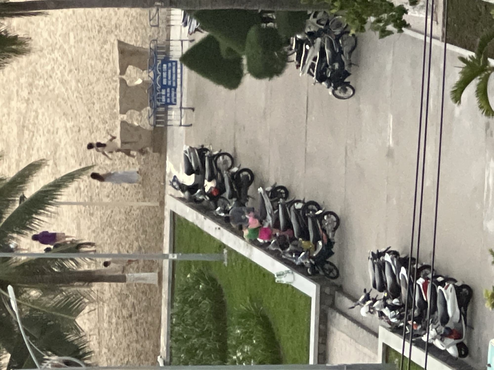 This is an eye-level, slightly elevated, horizontal shot of a beachfront area in Nha Trang, Vietnam. In the foreground, a row of parked scooters is visible, with the closest scooter being white and red. Beyond the scooters, a grassy area with a low stone wall separates it from a paved area. In the middle ground, another row of scooters is parked, with a person in a green top and pink shorts standing next to them. Further in the background, a sandy beach is visible, with several palm trees providing shade. A few people are walking on the beach, and some decorative stone structures are present. A blue and white sign is affixed to a metal fence in the mid-background. The sky is overcast.