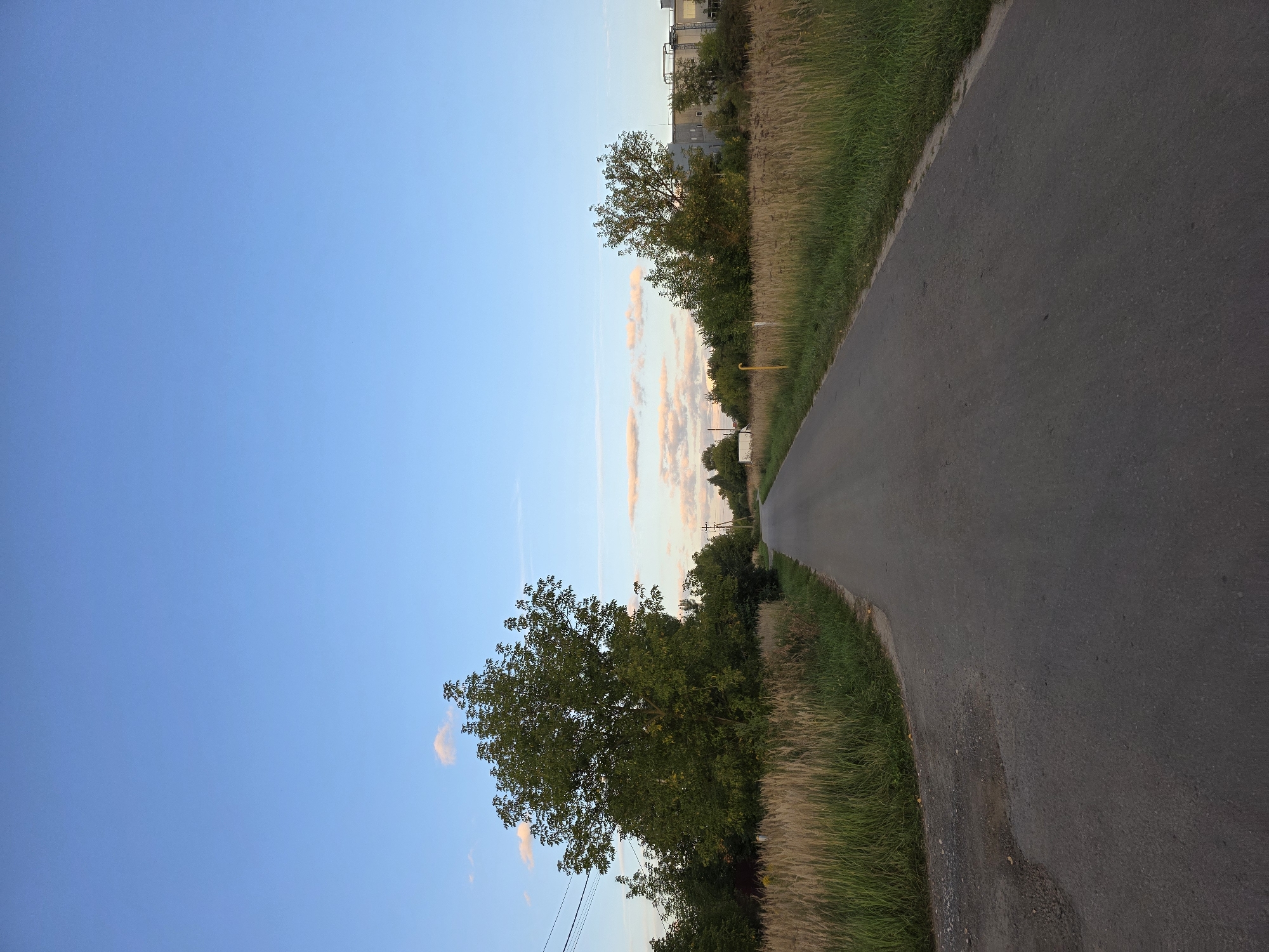 An asphalt road stretches into the distance, bordered by tall, dry grass and greenery. On the left, a large, leafy tree stands prominently, with telephone wires visible overhead. On the right, a yellow pole and more trees are seen, with a modern, multi-story building in the background. The sky is a clear blue, with a few wispy clouds tinged pink from the setting sun. The scene appears to be located in a rural or suburban area. The image does not provide any information about the city of Rechitsy, Russia, nor does it contain any people, actions, or interactions.