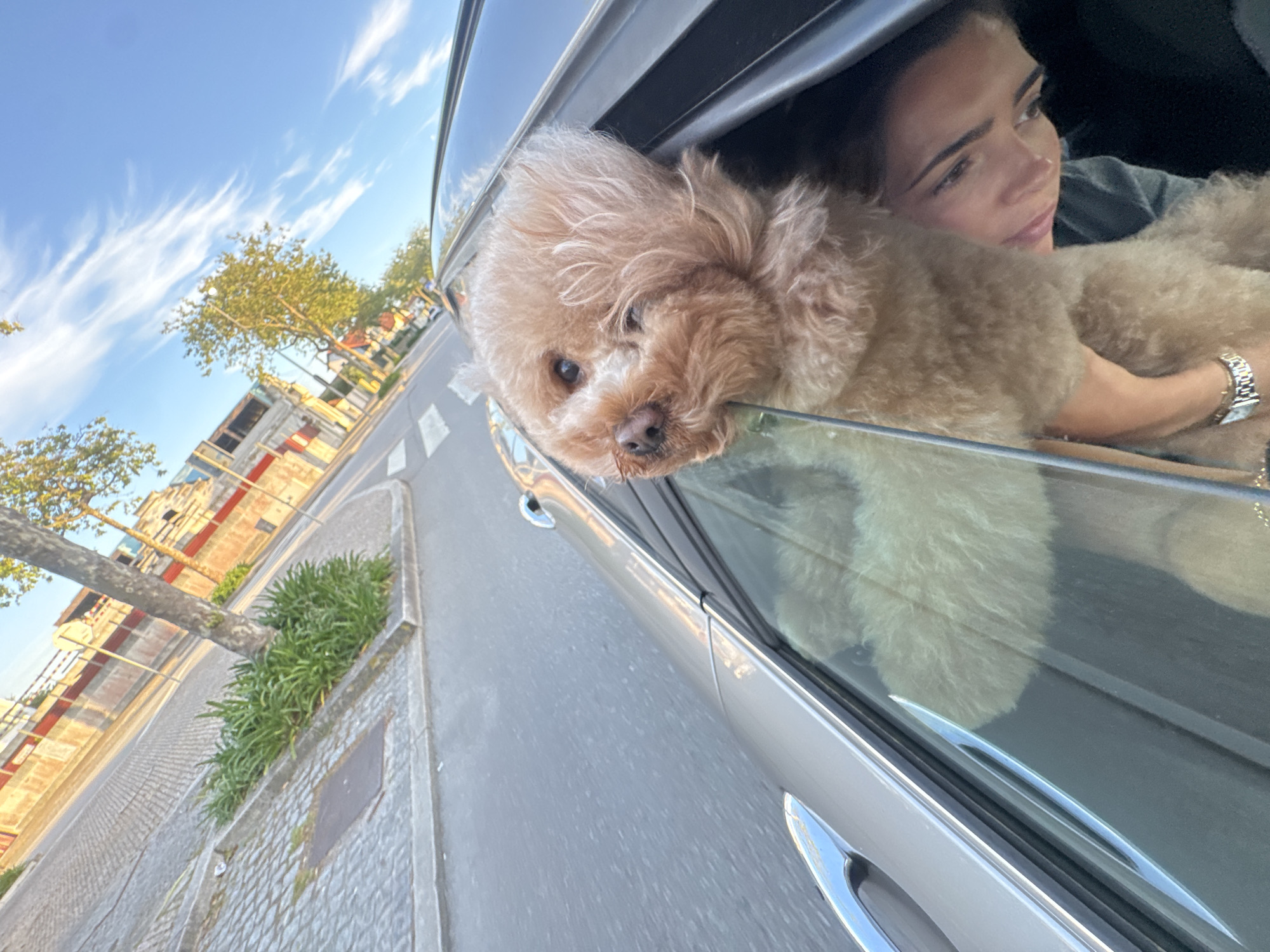 A woman is in a car with a small poodle, which has its head hanging out of the open window. The car is driving along Avenida Diogo Leite in Vila Nova de Gaia, Portugal, based on the visible architecture. The weather is sunny.