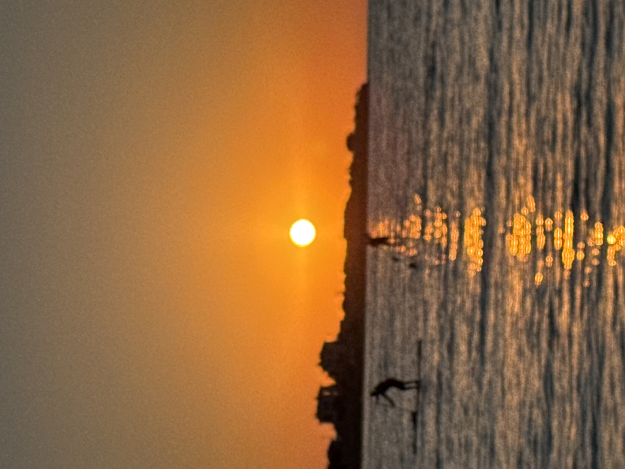 The image depicts a sunset over a body of water, likely the Black Sea, near Sevastopol, Ukraine. The sun, a bright orb, is positioned in the upper center of the frame, casting a warm orange glow across the sky. The horizon is marked by a silhouette of buildings, possibly part of the city's coastline.
In the foreground, two figures are visible on paddleboards. The figure on the left appears to be standing and paddling, while the figure on the right is partially obscured and in a similar stance. The water is rippled, reflecting the golden hues of the sunset, creating streaks of light that shimmer across the surface. The overall impression is one of a peaceful, serene evening scene. The image is slightly grainy, suggesting it may have been taken in low light conditions.
