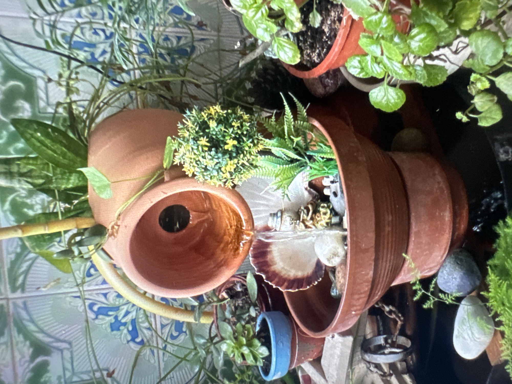 The image depicts a small, decorative indoor water fountain featuring terracotta pots, plants, and decorative elements. Water flows from a larger, inverted terracotta pot into a lower terracotta basin. Within the lower basin, a small seashell, several stones, and a miniature figurine are visible. Various potted plants, including snake plants and leafy green varieties, surround the fountain. The background consists of a tiled wall with a blue and green pattern. The scene appears to be an indoor setting, possibly a home or a small business, within the city of Murcia, Spain, evidenced by the tiled wall common in Spanish architecture and the abundance of potted plants, often used for decoration in Mediterranean climates. No people are present in the image, and no actions are occurring other than the continuous flow of water.