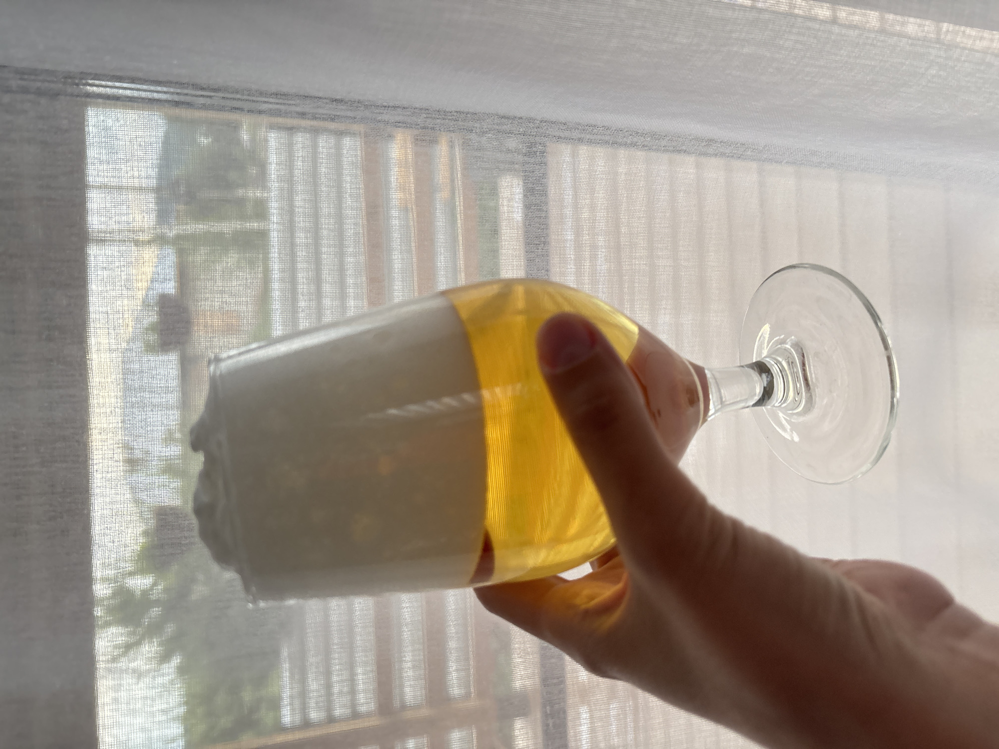A close-up, horizontal shot depicts a hand holding a stemmed glass, likely a champagne flute or similar, against the bright backdrop of a window. The glass is filled with a two-layered beverage: a clear, golden-yellow liquid at the bottom and a substantial, opaque white foam at the top, suggesting beer or a cocktail. The hand grips the glass firmly around its bowl, with fingers visible.
The background features a window covered by sheer, white curtains or blinds, which diffuse the natural light streaming in. Through the translucent fabric, faint and blurred outlines of trees and possibly urban structures are discernible outside, indicating an outdoor view. The bright illumination suggests it is daytime, likely a sunny day. No specific geographical cues for Chaikovsky, Russia, are visible in the image. No text is present.