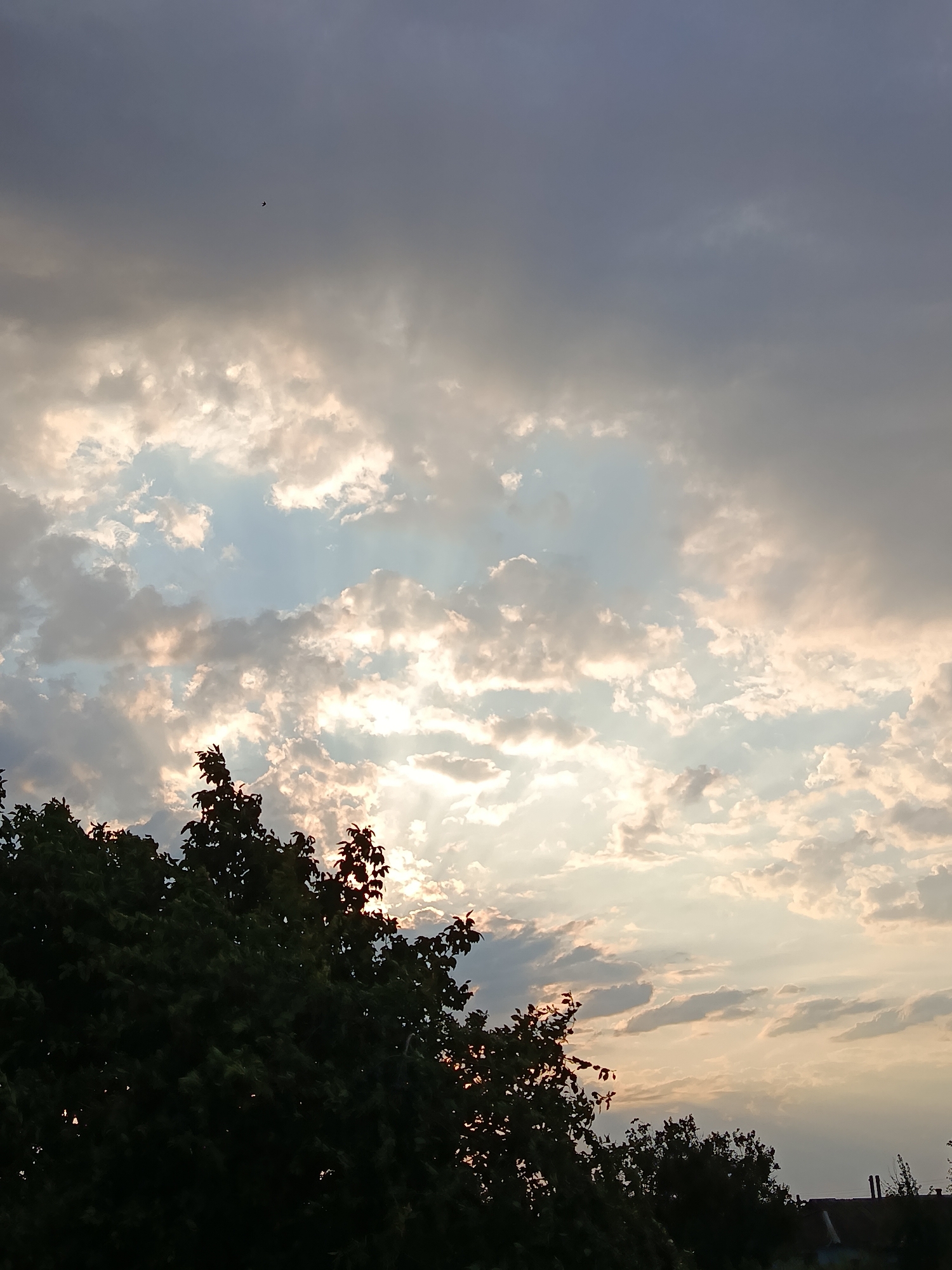 The image shows a cloudy sky with the sun breaking through the clouds, creating a luminous effect. In the foreground, the dark silhouettes of trees and a portion of a building are visible against the brighter sky. A single bird is visible in the upper left quadrant of the sky. The scene appears to be an outdoor landscape, likely in a rural or suburban setting, possibly at dusk or dawn due to the lighting conditions. There are no people or specific landmarks that would pinpoint the location to Lotskyne, Ukraine, from the visual information alone.