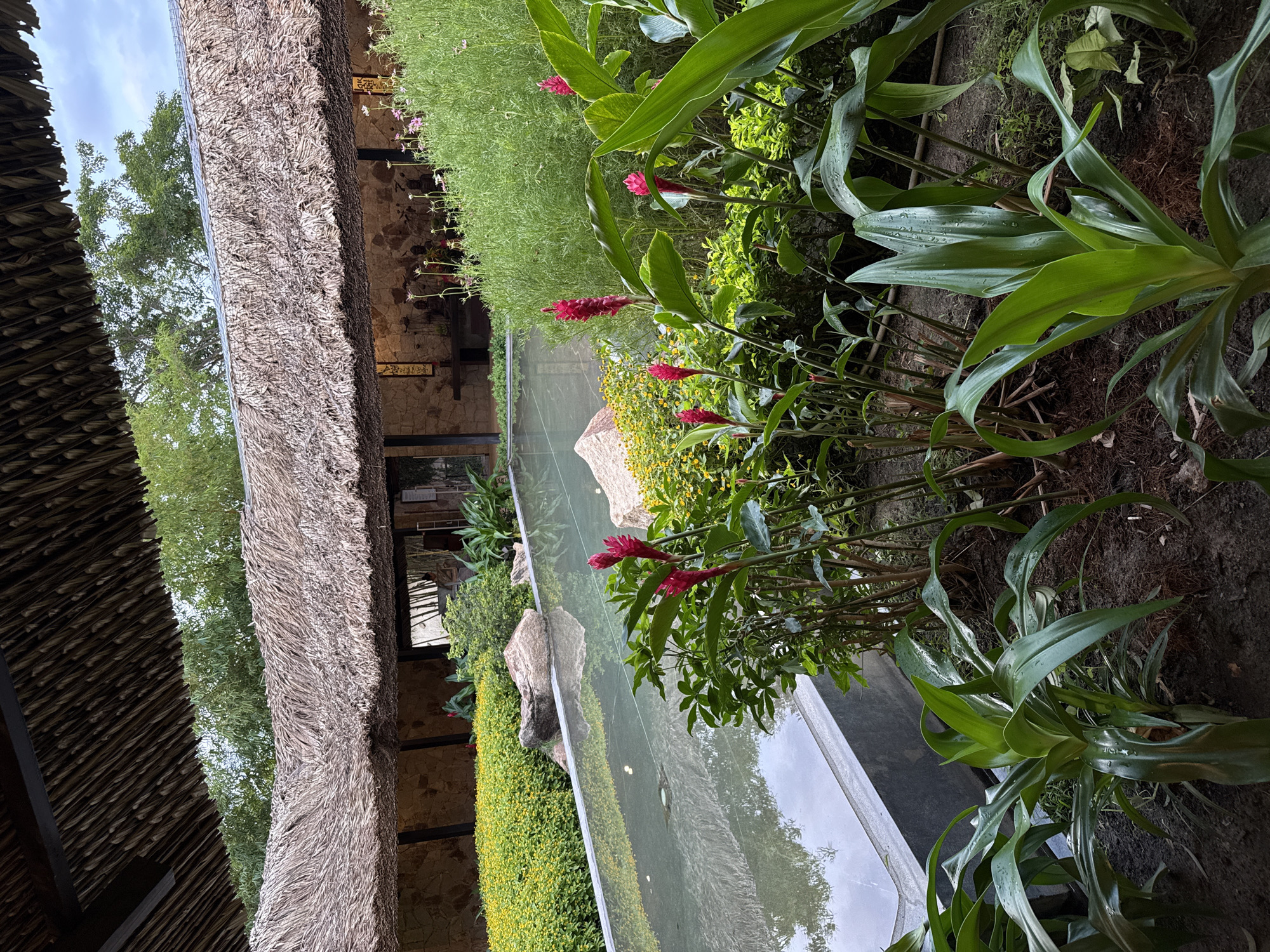 The scene depicts an outdoor view of what appears to be a restaurant or resort in Tay Nha Trang Ward, Vietnam. A long, narrow water feature runs through the scene, with decorative stones and various plants including red ginger flowers and green foliage lining its edges. The building is characterized by thatched roofs and stone walls. The environment is lush and landscaped, suggesting a tropical or semi-tropical setting. There are no people visible in the frame. The focus is on the architectural and natural elements of the location.