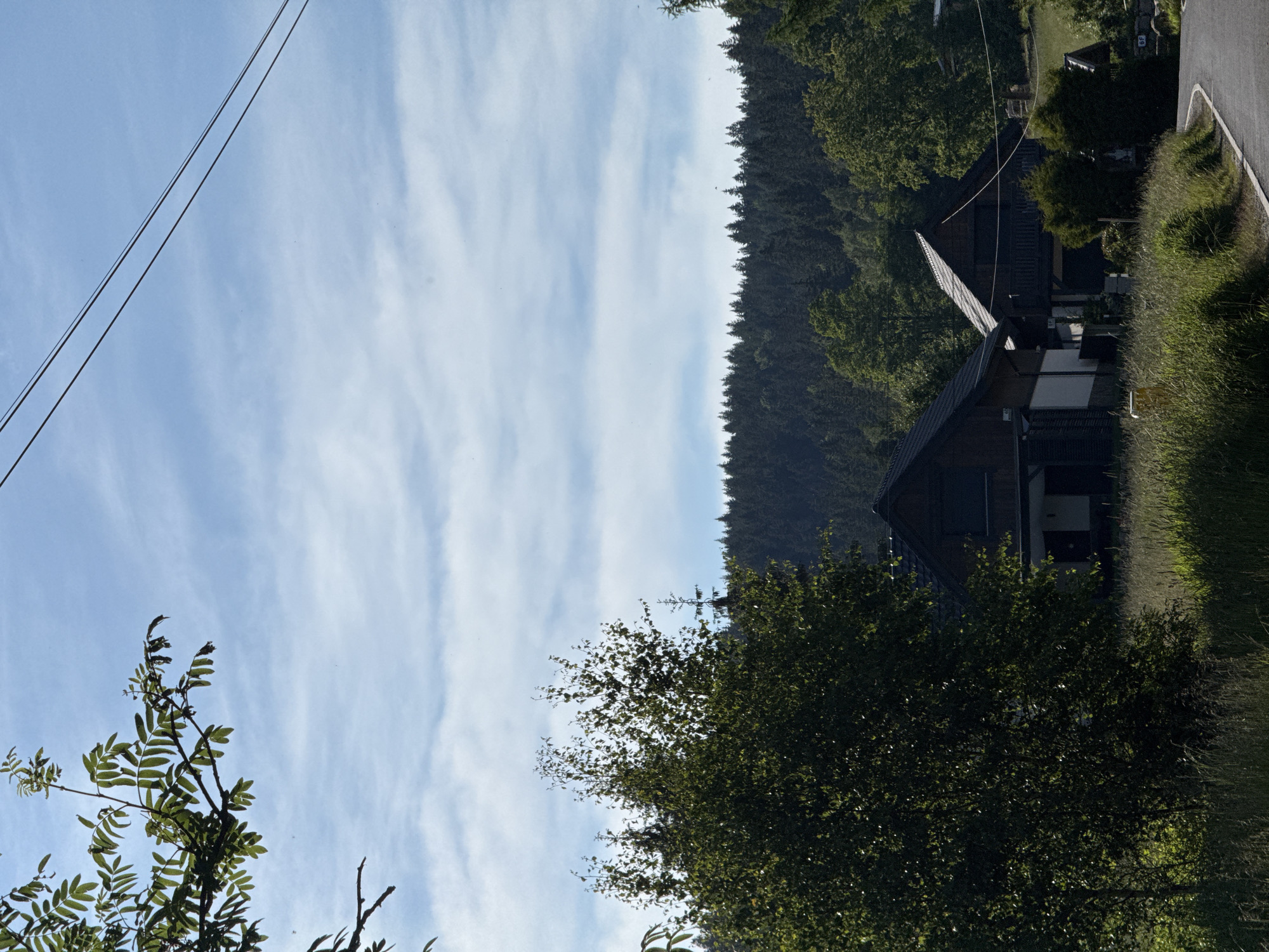 The image depicts a rural landscape in Szklarska Poręba, Poland, characterized by a serene sky and natural surroundings. In the foreground, a lush green tree with prominent branches dominates the left side, its leaves casting shadows on the tall, dry grass below. Adjacent to the tree, two dark-roofed houses with wooden facades are visible, nestled amidst the vegetation. The houses feature balconies and dark-paned windows, and one has a white side section. A paved road curves into the scene from the right, leading towards the houses. Beyond the houses, a dense forest of dark green coniferous trees stretches across the horizon, forming a stark contrast against the pale blue sky. Wispy white clouds drift across the sky, and two black electrical wires run diagonally from the top right corner of the frame. The overall impression is one of a tranquil, wooded environment.
