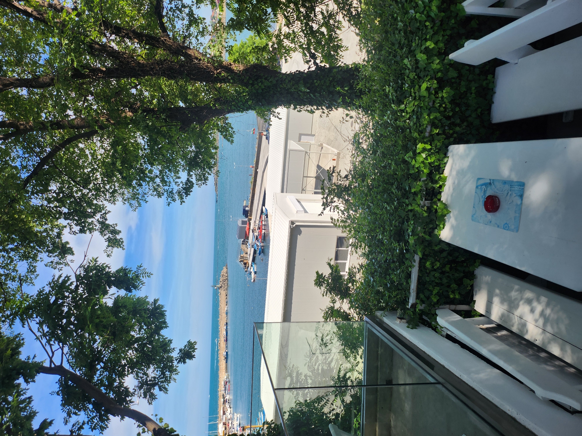 The image depicts a vibrant coastal scene with a clear blue sky and calm turquoise water. The foreground is framed by lush green trees and foliage, with a white picket fence and a white table visible. On the table, there's a blue and white patterned coaster with a red button-like object on top. Beyond the fence and table, a harbor is filled with numerous boats of various sizes, suggesting a busy maritime location. Buildings with white roofs line the waterfront, and a stone pier extends into the sea. The overall impression is a bright, sunny day, likely in the afternoon, offering a view of a picturesque seaside town, possibly Tsarevo, Bulgaria, as hinted by the location context. The scene evokes a sense of relaxation and vacation, with the natural beauty of the sea and greenery complementing the man-made structures of the harbor. No people are clearly visible, and there is no legible text in the image. The orientation of the image is rotated 90 degrees counter-clockwise.