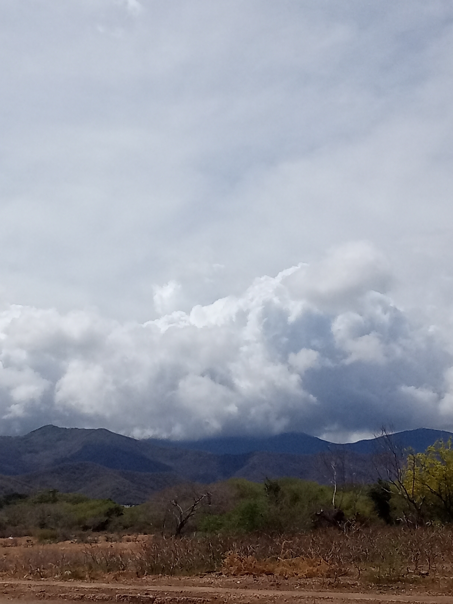 The image captures a landscape in or near Juan Griego, Venezuela, under an overcast sky. A range of dark, partially cloud-obscured mountains forms the backdrop. In the middle ground, there's a scrubby area with green bushes and dry, brown vegetation. The foreground consists of reddish-brown dirt or soil. There are no people visible.