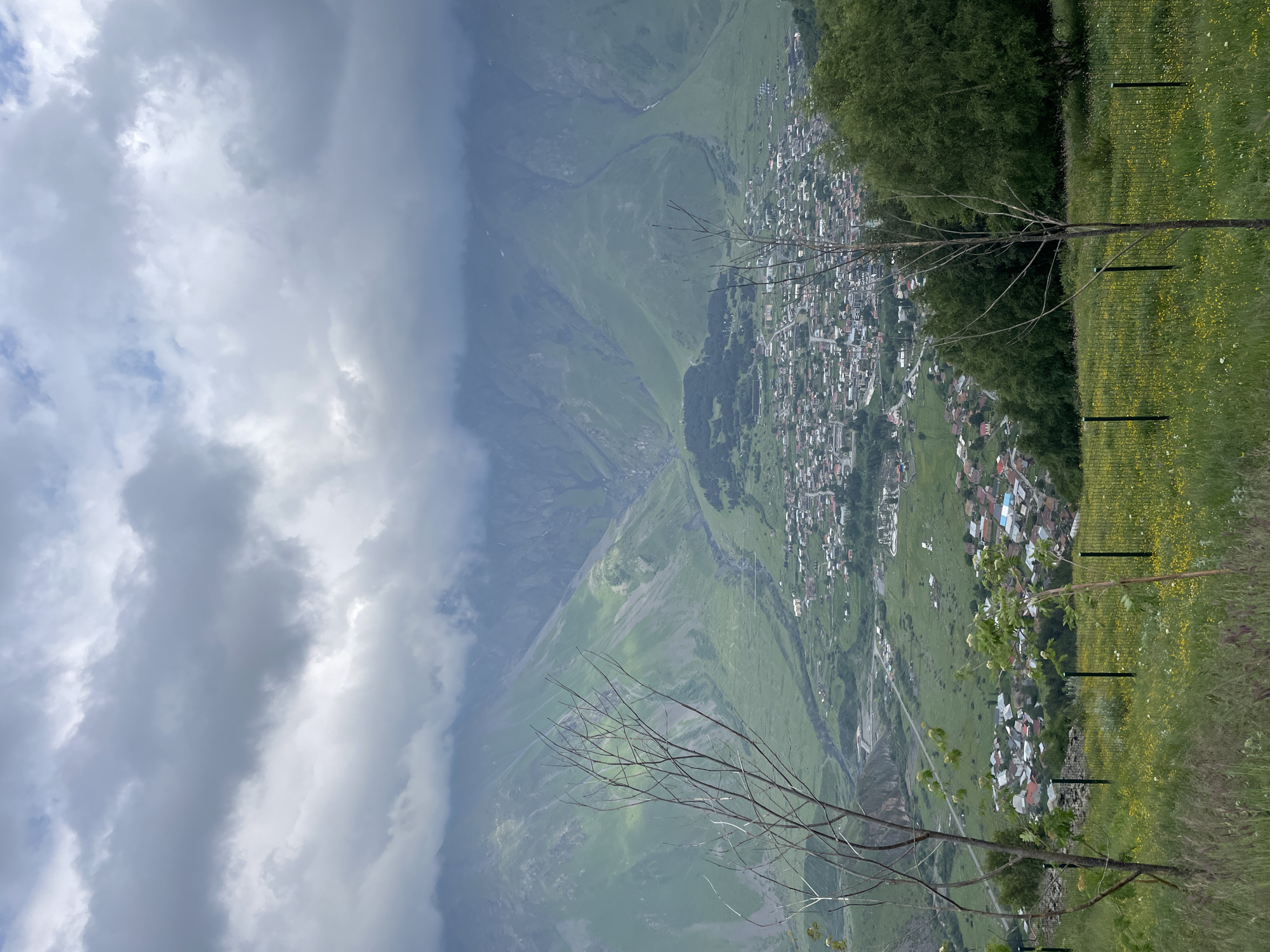 The image shows a panoramic view of the town of Stepantsminda, Georgia, nestled within a valley. In the foreground, a grassy slope dotted with yellow wildflowers is enclosed by a black metal fence. Two bare-branched trees stand on the slope. Beyond the fence, the town of Stepantsminda unfolds, characterized by a dense arrangement of houses with red and gray roofs, intermingled with green trees and some wider roads. The town is situated at the base of a large, verdant mountain range that dominates the background. The mountains are steep and covered in green grass, with visible scars and ravines. Heavy, dark gray clouds obscure the peaks of the mountains, suggesting overcast or stormy weather. A river or stream is visible winding through the valley near the town. The overall scene depicts a mountainous landscape with a settlement in a valley under a cloudy sky.
