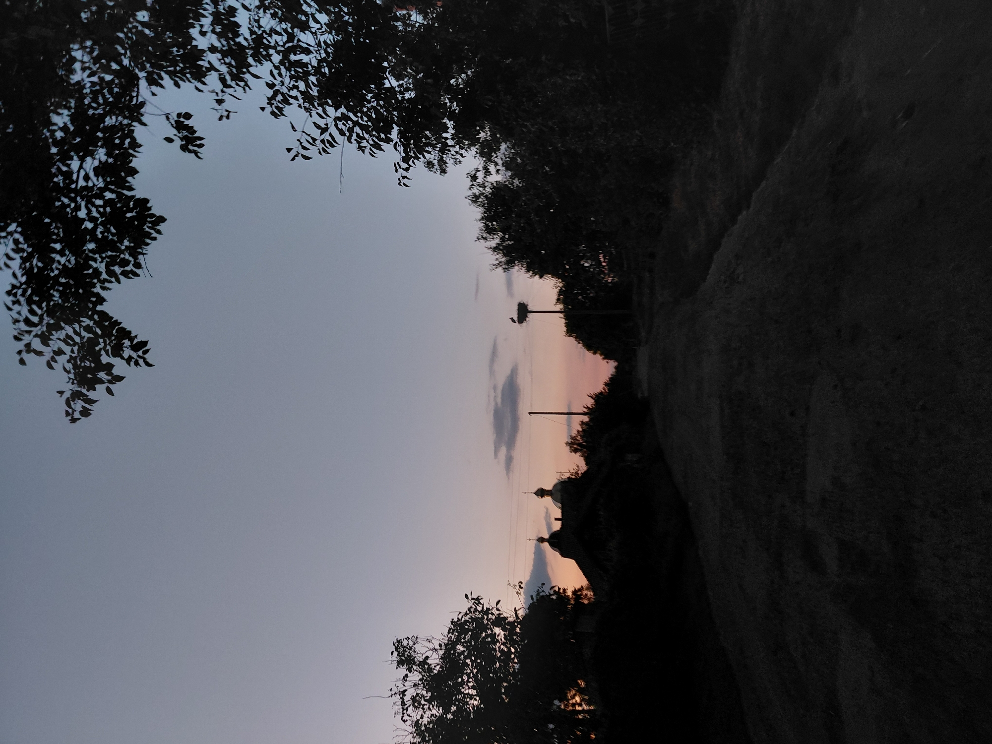 In the city of Ustyvytsia, Ukraine, at dusk, a dirt road leads past silhouetted trees and buildings towards a clear horizon. On the left, a cluster of dark trees frames a view of a building with two domed roofs, possibly a church. Further down the road, a utility pole stands tall, topped with a stork's nest where a stork is visible. The sky above transitions from a pale blue at the top to shades of pink and orange near the horizon, indicating the setting sun. The foreground is a dark, uneven dirt path.
