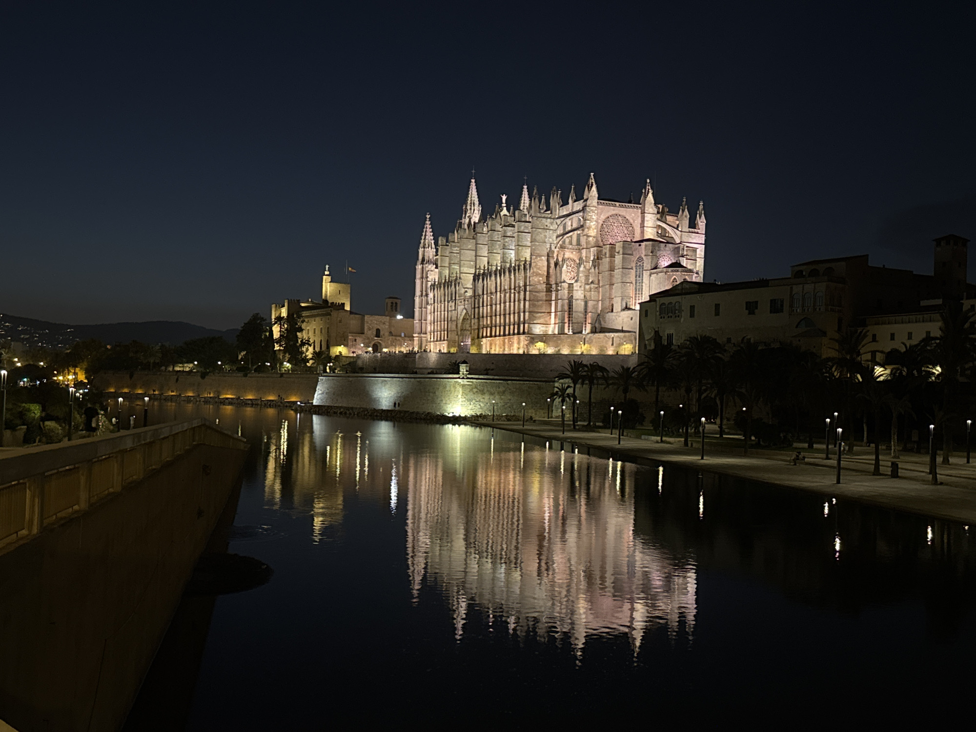 The image depicts the iconic Palma Cathedral (La Seu) illuminated at night in Palma de Mallorca, Spain. The cathedral, a magnificent Gothic structure, dominates the skyline with its warm, golden light washing over its stone facade. Its intricate spires and buttresses are clearly visible against the dark, clear night sky.
In the foreground, a body of water, likely a harbor or canal, reflects the illuminated cathedral, creating a shimmering, distorted image on its surface. The water's surface is disturbed by ripples, causing the reflection to break and waver.
To the left of the water, a pathway or promenade is visible, lined with lampposts that cast pools of light on the ground. A bridge-like structure, partially visible and in shadow, juts into the frame from the lower left corner, suggesting a viewpoint from a bridge or elevated walkway. Further along the promenade, palm trees are silhouetted against the illuminated buildings, adding to the Mediterranean atmosphere.
On the far left, a distant hill is visible, dotted with lights from buildings, indicating the presence of the city extending beyond the immediate waterfront. The overall scene is one of serene, nocturnal beauty, highlighting the grandeur of the cathedral and its picturesque setting by the water. There are no visible people or specific actions depicted in the image.