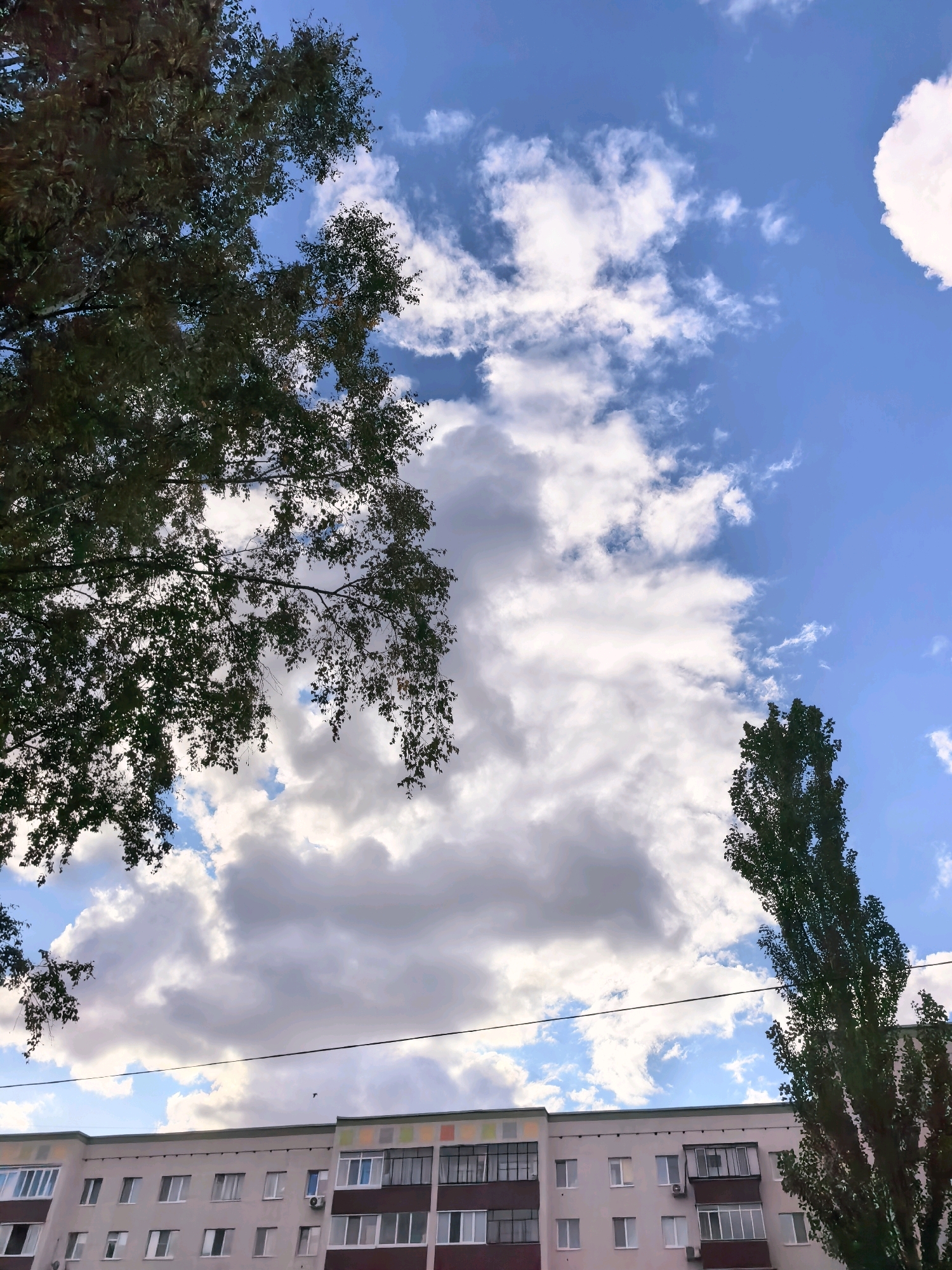 The image captures a view of the sky and a building in Sterlitamak, Russia. In the foreground, two trees frame the scene. On the left, a large tree with dense, dark green foliage is prominent, its branches reaching towards the sky. On the right, a tall, slender tree with dark green leaves is visible, extending upwards. The sky is a vibrant blue, populated with a mix of white, puffy clouds and thinner, wispy clouds. A long, dark horizontal line, likely a power line, stretches across the upper portion of the building. The building itself is a multi-story apartment complex, appearing to be of Soviet-era architecture. It is light-colored with a darker, reddish-brown lower section and features numerous windows of varying sizes and styles, including some with balconies. The overall impression is an urban landscape on a partly cloudy day.