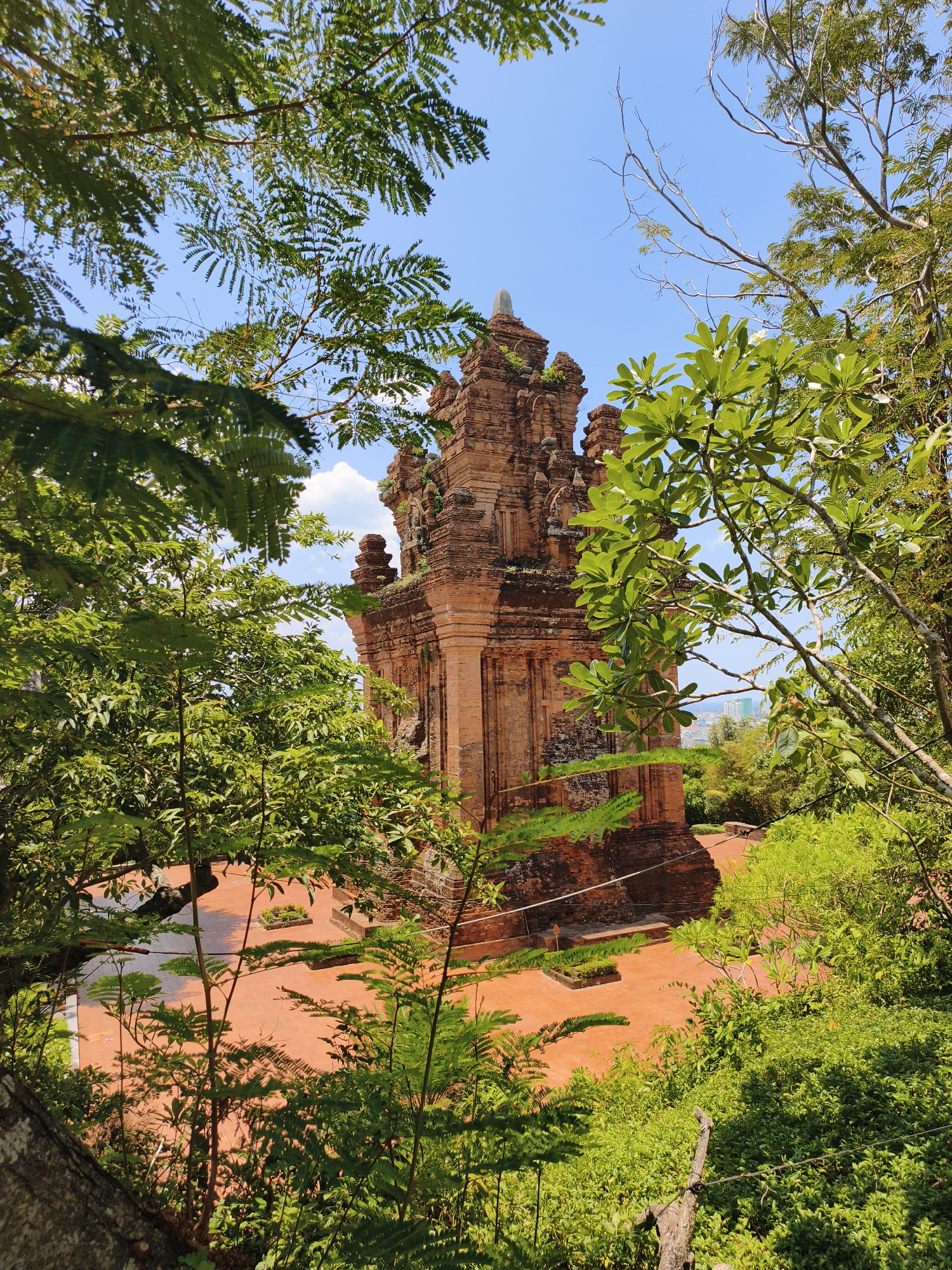 The image shows the historic Thap Nhan (Cham Towers) in Tuy Hoa, Vietnam, a prominent landmark situated atop a hill overlooking the city. The central subject is a tall, brick Cham tower, its ancient architecture evident in its tiered structure and weathered facade. It is surrounded by lush green foliage and trees, with some branches framing the view of the tower. The ground around the tower is paved with reddish-orange tiles. In the background, a clear blue sky with a few scattered clouds can be seen, and hints of modern buildings are visible in the distance, suggesting the towers' location within or near the city. The scene is bathed in sunlight, creating distinct shadows from the trees on the ground. There are no people visible in the image.