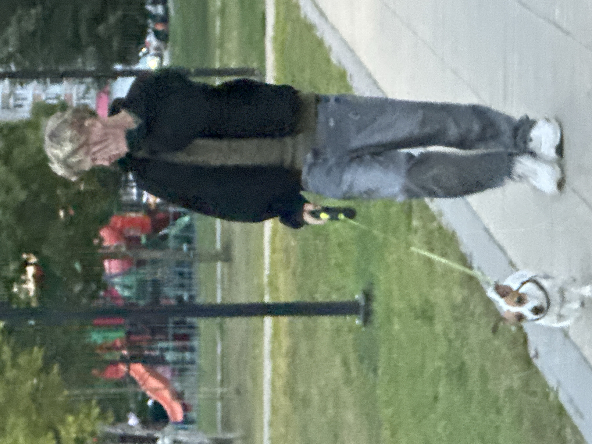 An outdoor, medium-shot photograph captures a person walking a dog on a paved path. The individual, appearing to be a young adult with blonde hair, is wearing a dark jacket over an olive-green shirt and light-wash denim jeans. They are holding a black leash in their right hand, which is attached to a small, white and brown dog wearing a harness. The dog, a Jack Russell Terrier, is walking on the path just ahead of the person. The background features a grassy area with trees, a children's playground with red and green slides, and a multi-story building in the distance, suggesting an urban park setting in Podolsk, Russia. The lighting indicates it is daytime, with soft shadows suggesting an overcast or late afternoon sky.