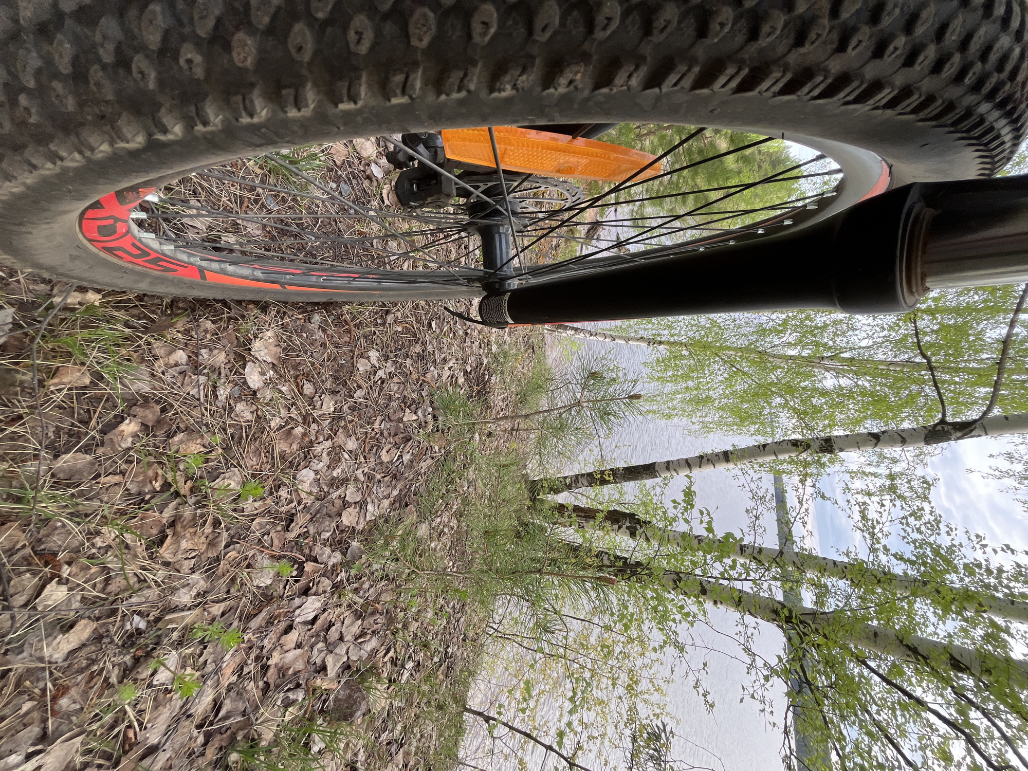 The image is taken from a low angle, showing the front wheel of a mountain bike resting on a forest floor covered in fallen leaves and some sparse vegetation. In the background, through the spokes of the wheel, is a view of a body of water, likely a lake or river, with birch trees lining the shore. The sky is visible through the trees. The location is likely near a park or forested area adjacent to a body of water in Chaikovsky, Russia. The bike appears to be stationary. There are no people visible in the image.