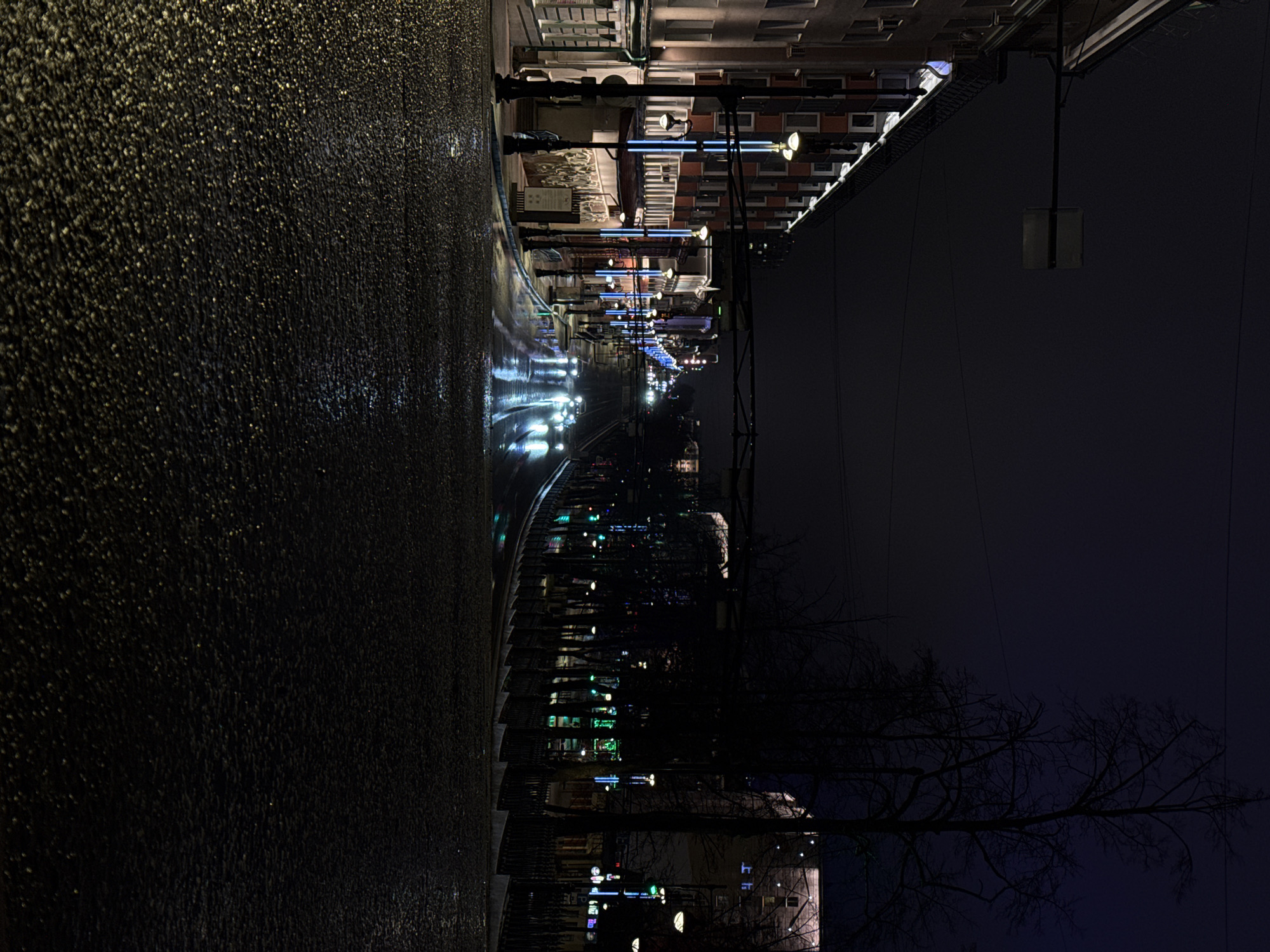The image depicts a night scene in Perm, Russia, featuring a street illuminated by streetlights. The wet asphalt road reflects the lights, and car headlights are visible in the distance. Buildings line the street, with various lights illuminating their facades. Trees are present on the right side of the frame, silhouetted against the dark sky. A tram line runs along the street.