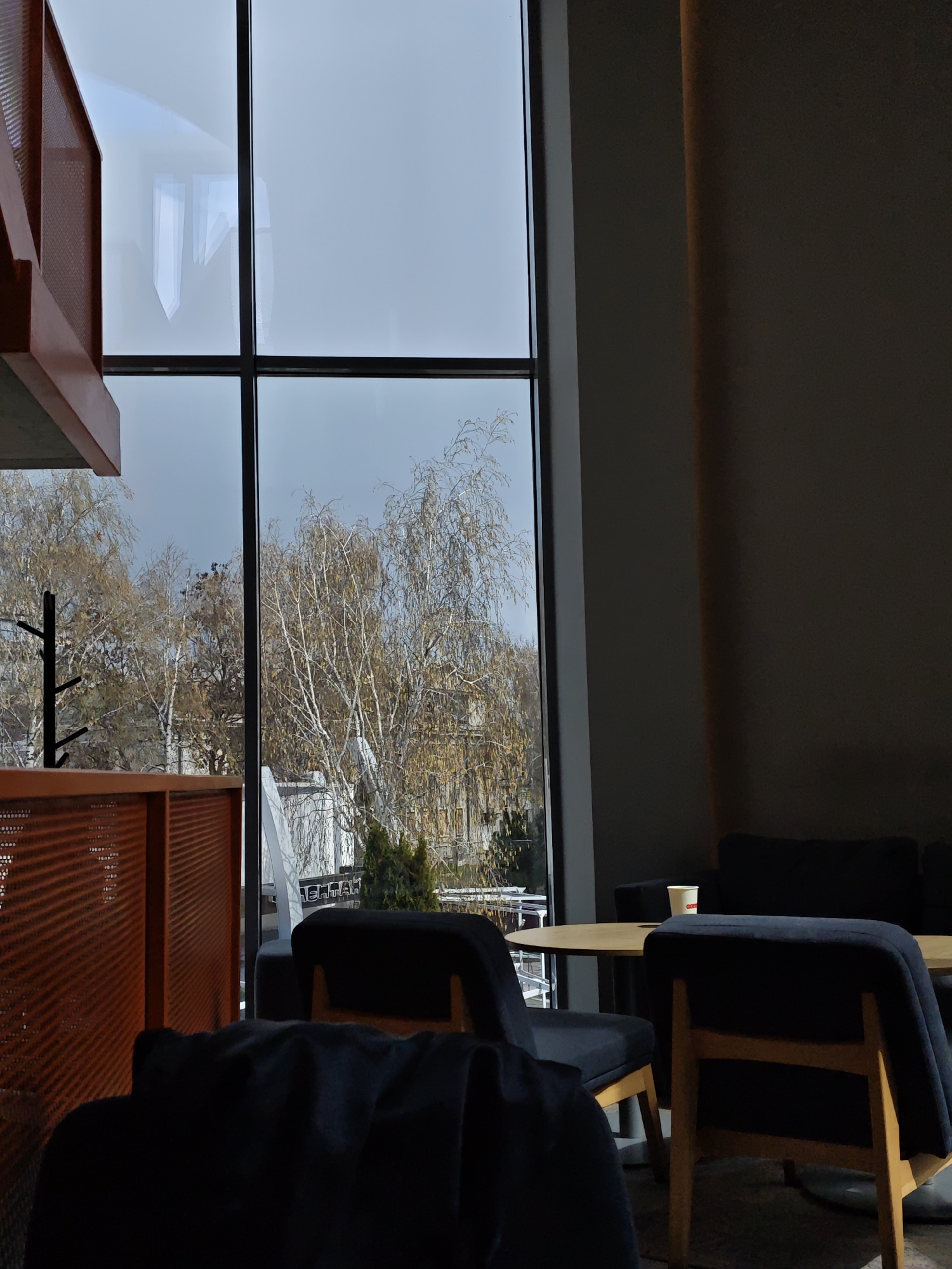 The image depicts the interior of a cafe-like space, featuring seating arrangements near a large window. Outside the window, a view of trees with bare branches suggests an autumnal or winter season. A building is visible in the background.
Inside, dark-colored chairs are arranged around a small round table. On the table, there is a paper cup. In the background, a dark sofa is present. An orange, mesh-patterned structure is partially visible on the left side of the frame.
The location is Vinnytsia, Ukraine.