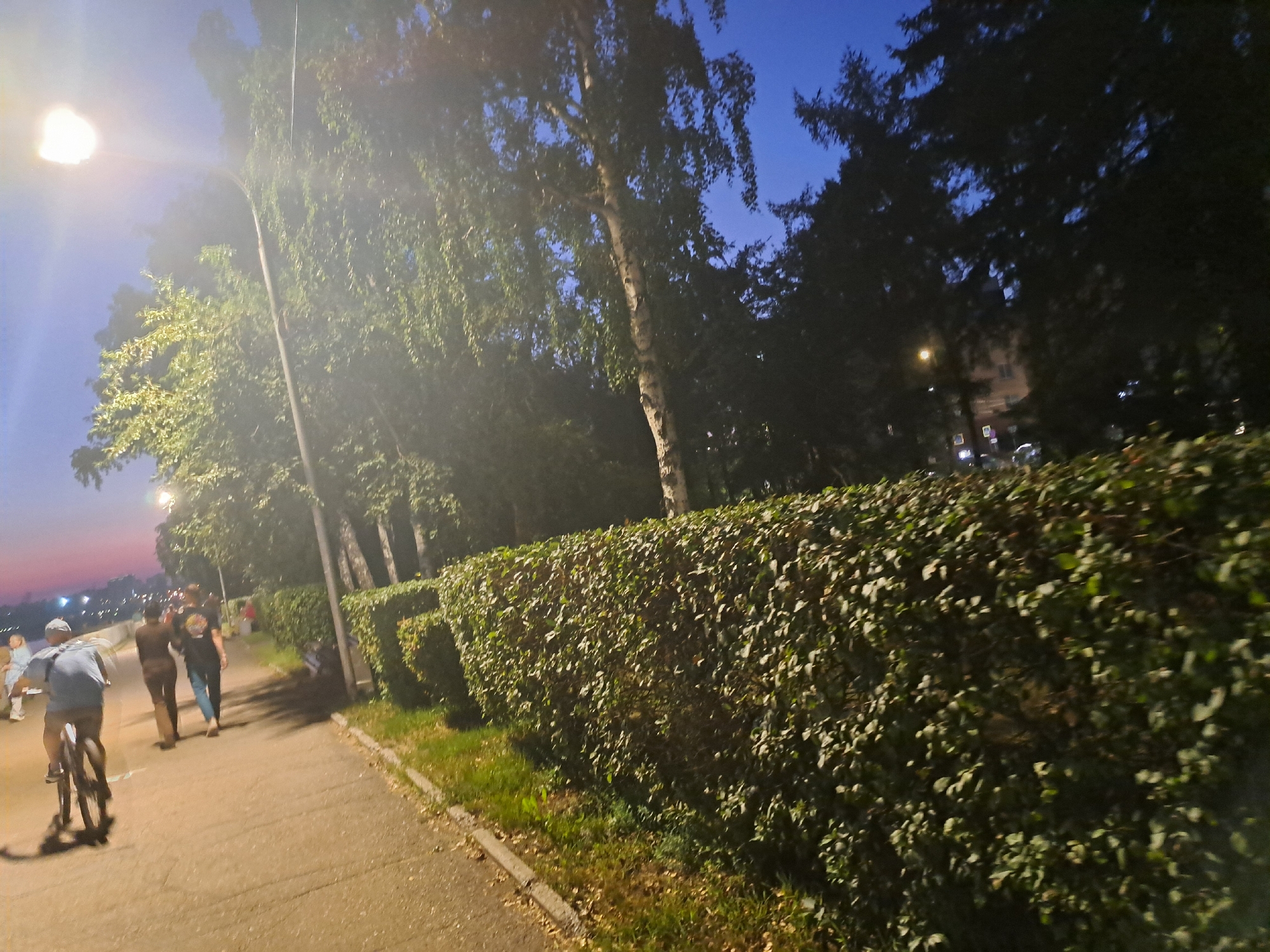 In Irkutsk, Russia, at dusk, a streetlamp illuminates a paved pathway lined with a dense, manicured green hedge. Several individuals are visible on the path. In the foreground, a person rides a bicycle away from the viewer. Further down the path, two individuals walk together, one with their arm around the other's shoulder. In the distance, other pedestrians are visible, and beyond them, a body of water reflects city lights. Tall trees, some with light-colored bark, border the pathway, creating a dappled shade. The sky transitions from a twilight purple and pink near the horizon to a deep blue overhead.