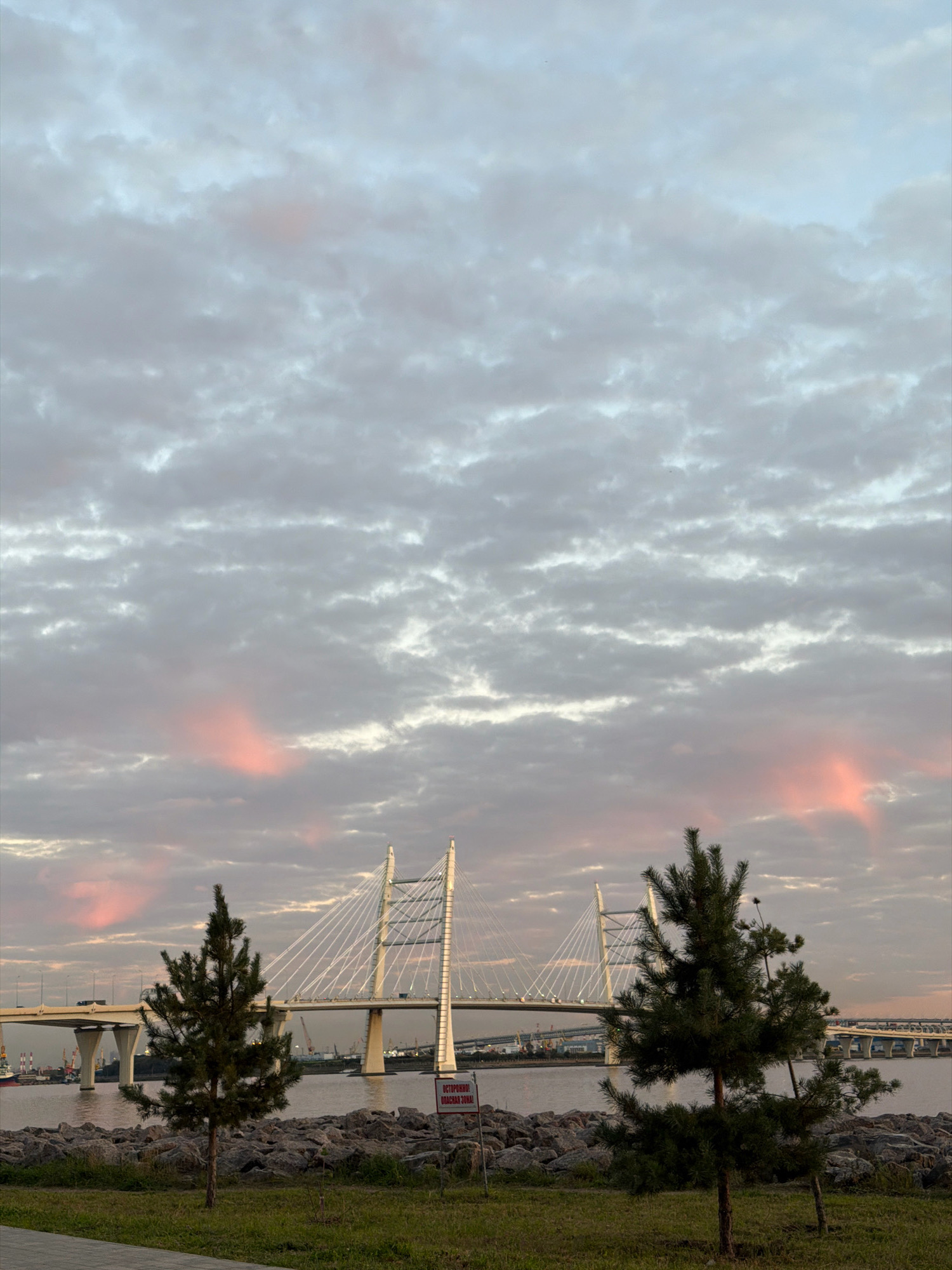 The image depicts the Western High-Speed Diameter (WHSD) bridge in Saint Petersburg, Russia, at sunset or sunrise. The sky is filled with dramatic clouds, some tinged with pink and orange hues from the setting or rising sun. Two evergreen trees are in the foreground, positioned on a grassy area with a rocky shoreline behind them. The WHSD bridge, a prominent landmark, is visible in the middle ground, spanning a body of water. Vehicles can be seen traversing the bridge. In the background, industrial elements, possibly a port or shipyard, are faintly discernible. A red and white warning sign with Cyrillic text, which reads "ОСТОРОЖНО! ОПАСНАЯ ЗОНА!" (Caution! Dangerous Zone!), is placed near the shoreline in the right foreground. There are no people visible in the scene.