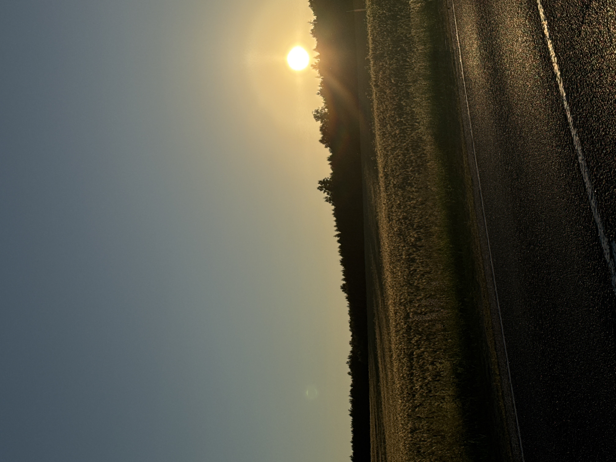 An asphalt road runs diagonally across the foreground of the image, from the bottom left to the middle right. The road surface is dark, with a white line marking the lane. Sunlight reflects off the road, creating a golden sheen. To the left of the road, a field of tall, dry grass or crops extends into the mid-ground. The field is illuminated by the setting sun, casting long shadows. In the background, a dense line of trees forms a dark silhouette against the sky. The sun, a bright, glowing orb, is visible in the upper right quadrant of the image, partially obscured by the trees. The sky transitions from a clear, pale blue at the top to a warm, golden yellow near the horizon. The overall scene depicts a rural landscape at sunset. The location is likely the Данілавіцкі сельскі Савет, Belarus, given the context. There are no people or animals visible in the image.