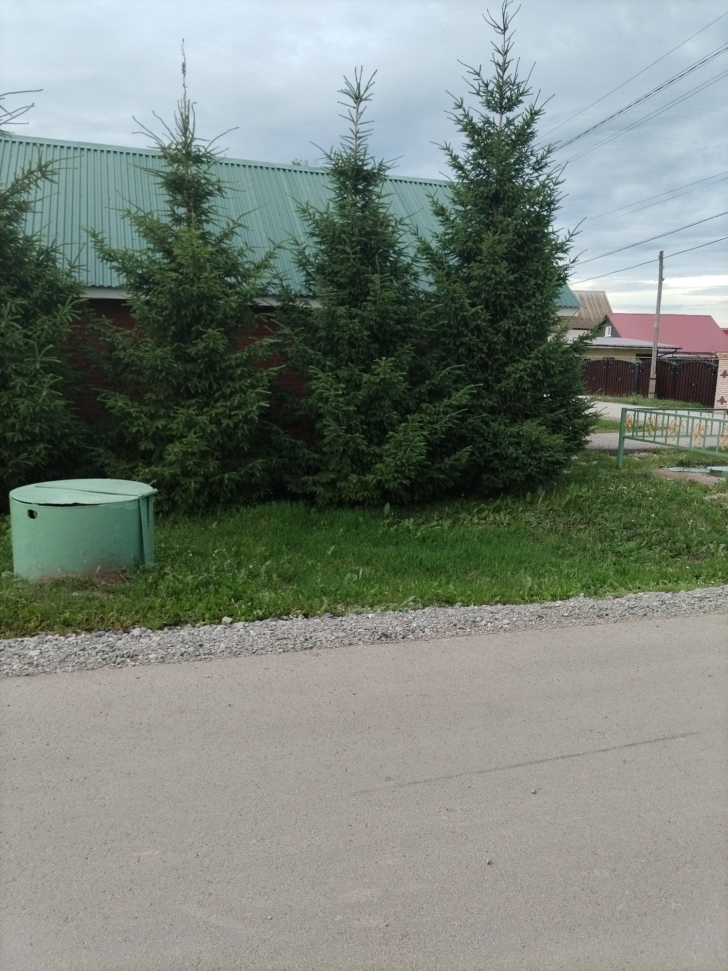 A horizontal, medium shot captures an outdoor scene in Nizhnyaya Makta, Russia, under an overcast sky, suggesting it's either morning or late afternoon. The foreground features a grey asphalt road with a strip of gravel bordering a grassy area. In the middle ground, several tall, dark green fir trees stand prominently, their branches reaching towards the sky. To the left of the trees, a round, mint-green metal object with a lid and a small circular opening is partially visible, possibly a wellhead or septic tank. Behind the fir trees, the red brick wall of a building is visible, topped by a ridged, light-green roof. Further in the background, the roofs of other buildings, one distinctly red, are seen, along with a dark wooden fence and a decorative green metal fence with gold accents. Power lines crisscross the sky in the upper right portion of the image. No people are visible, and the scene evokes a quiet, rural or suburban atmosphere.