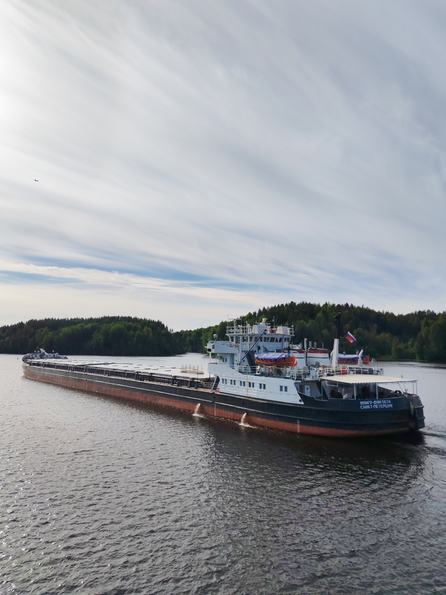 A large cargo ship, identifiable as "VOLGO-DON 5074" and registered in "SAINT PETERSBURG" (САНКТ-ПЕТЕРБУРГ) by text on its stern, dominates the scene as it navigates a wide waterway. The vessel, appearing to be a river-sea general cargo ship, features a dark grey/black hull with a reddish-brown bottom and a multi-tiered white superstructure at the aft. A Russian flag flies proudly from a mast on the superstructure, and orange life rafts are visible on its upper decks. The ship's long cargo hold is covered.
The setting is a serene natural environment, likely a river or large lake, with placid water reflecting the bright sky. Dense green coniferous trees form a lush, wooded shoreline on both banks in the background, suggesting a rural or forested area, consistent with Markovo, Russia.
The sky is bright, covered with streaky, elongated white and light blue clouds, indicating a clear, possibly sunny, daytime. A lone small bird is visible in flight in the upper left corner of the frame. The ship is actively moving, creating a subtle wake behind its stern. The overall impression is one of peaceful transit through a picturesque natural landscape under a bright sky.