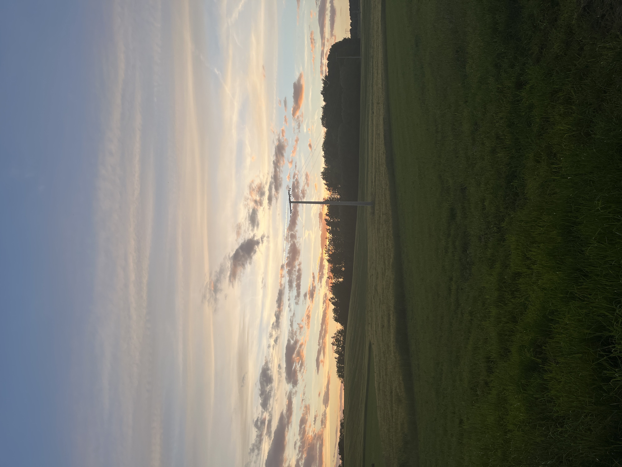 A landscape photograph captures a serene rural scene during a soft sunset. The sky, a canvas of pale blues and muted oranges, is streaked with delicate, wispy clouds, some tinged with pink. In the middle ground, a dense line of dark green trees forms a natural horizon, punctuated by a solitary, dark utility pole with wires. In the foreground, a vast, undulating field of green grass stretches out, its surface dappled with shadows. The overall impression is one of quiet tranquility and natural beauty. The location is described as Unknown, Unknown.