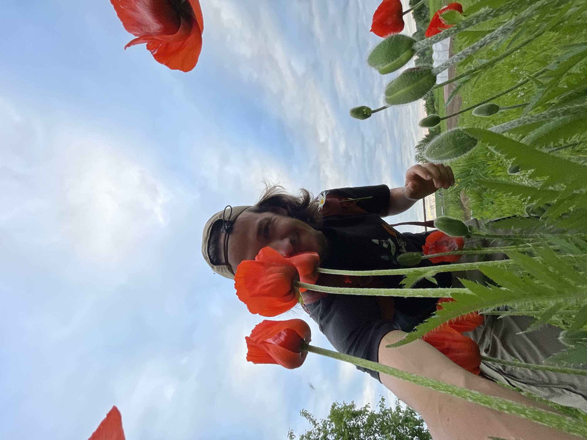 A low-angle, wide shot captures a person in a poppy field under a cloudy sky. The person, wearing a black t-shirt, khaki cargo pants, and a baseball cap, is positioned in the foreground, leaning into the frame and smiling. Their right hand is extended forward, nearly touching a vibrant red poppy. Several other poppies, both in bloom and as buds, are scattered throughout the image, some in sharp focus while others are blurred. The background features a lush green field and some distant white structures, possibly greenhouses, with a tree line on the far left. The sky is a mix of blue and white clouds.