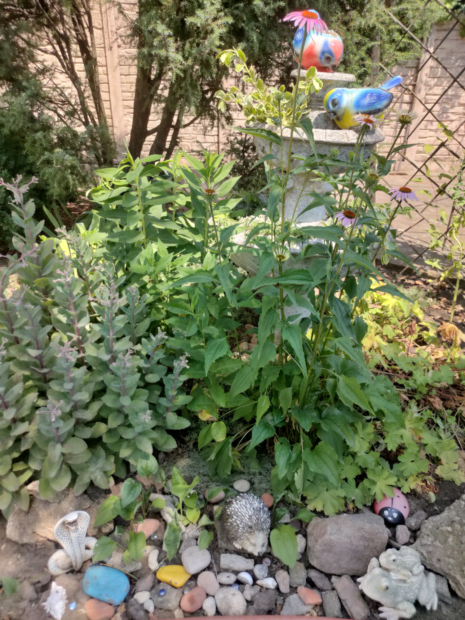 The image depicts a small garden area, likely a flowerbed, with a variety of plants and decorative elements. In the foreground, there are several decorative garden ornaments including a ceramic cobra, a small hedgehog, a ladybug, and a pair of frogs. The ground is covered with soil, small stones, and pebbles.
A stone bird bath or pedestal stands in the middle ground, adorned with two colorful ceramic birds, one blue and yellow, and another red, white, and blue. Several purple coneflower plants are in bloom around the base of the pedestal.
The background features dense green foliage from various plants, with a hint of a stone wall and a wire fence. Sunlight illuminates the scene, casting shadows and highlighting the textures of the plants and decorations. The overall impression is a charming, slightly whimsical garden setting. The location is specified as being in the city of Velykodolynske, Ukraine. There are no people or any discernible actions occurring in the image.