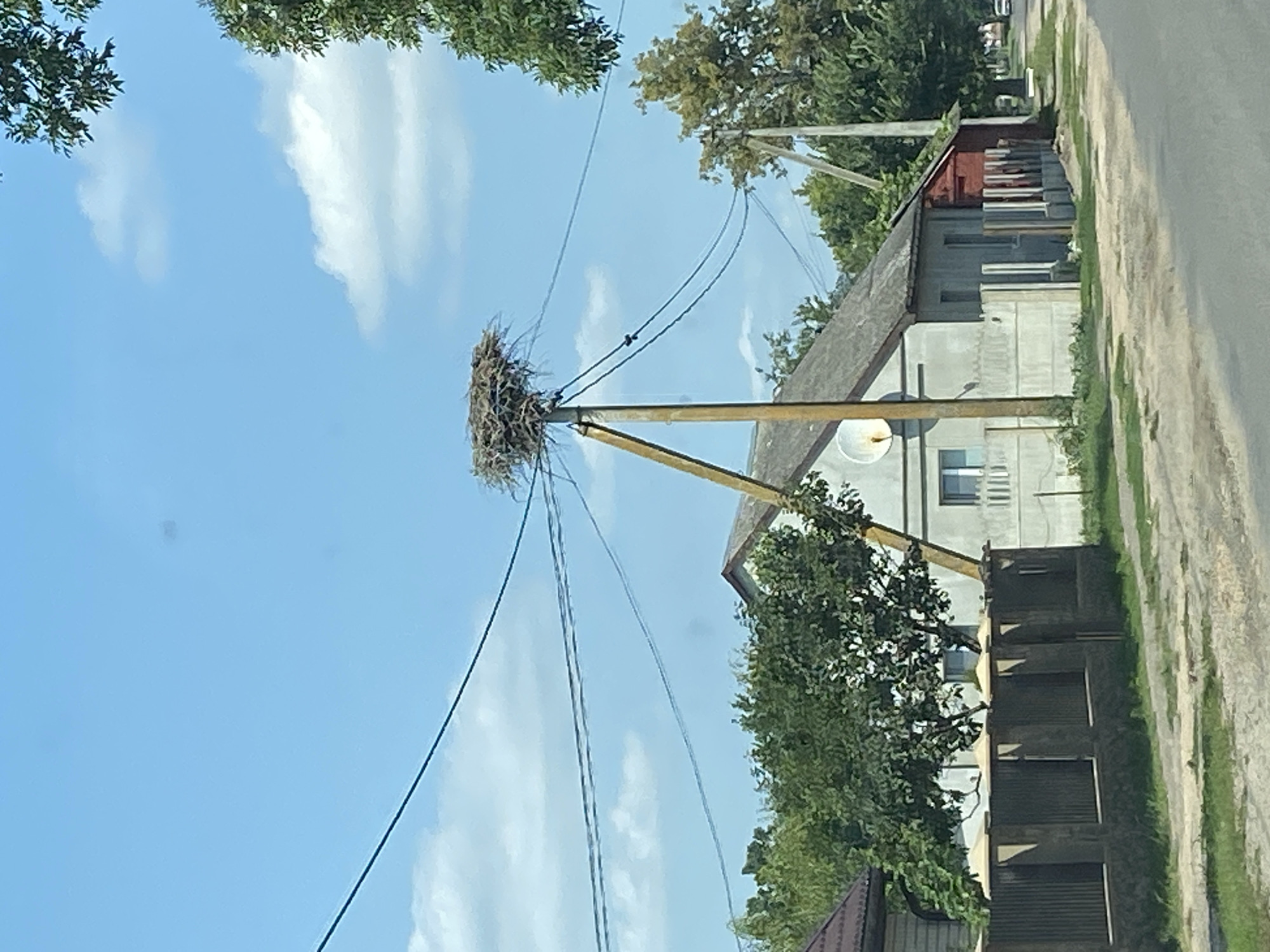In the village of Volchynsky Selsoviet, Belarus, a clear blue sky with scattered white clouds forms the backdrop for a rural scene. A large stork's nest, constructed of twigs and branches, rests prominently atop a wooden utility pole. Power lines crisscross the sky, connecting to this pole and extending out of frame. Below the nest, a light-colored, single-story house with a grey roof is visible. Adjacent to the house is a dark red shed. A grey concrete fence with darker vertical slats runs in front of the house and property. Lush green trees surround the buildings, with some foliage encroaching on the right side of the frame. A dirt road, bordered by grass, leads towards the foreground, suggesting a residential or rural setting. The overall impression is one of a peaceful, everyday moment in a Belarusian village.