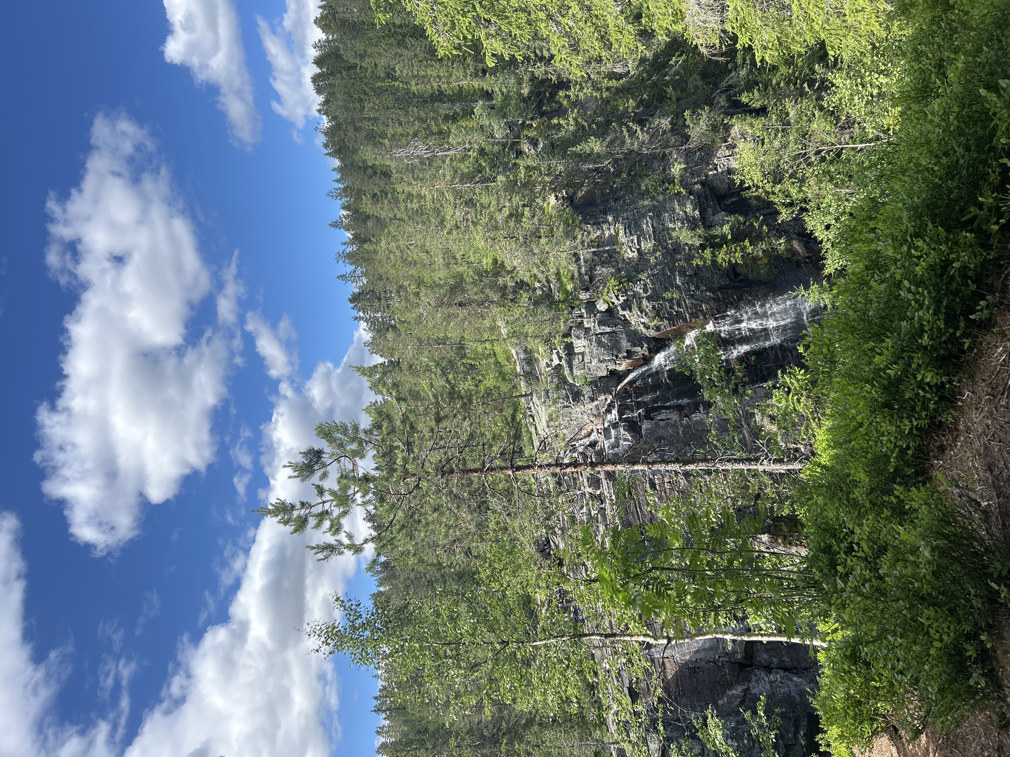 The image displays a natural landscape with a forest, a waterfall, and a bright blue sky filled with white clouds. The scene is oriented vertically, with the sky occupying the left portion of the frame and the forest and rocky cliff face on the right.
The forest is dense with evergreen trees, their green needles creating a lush canopy. Scattered among the trees are some deciduous trees with lighter green foliage, suggesting a mix of species. A rocky cliff face runs through the middle of the image, interspersed with greenery. At the top of the cliff, a waterfall cascades down the rocks, its water appearing white and frothy as it falls. The rocks themselves are dark gray and appear rugged and textured.
In the foreground on the right, there is a dense growth of green bushes and smaller trees, partially obscuring the lower section of the cliff. A few bare branches from trees are visible, some spanning across the frame.
The sky is a vibrant blue, with puffy white clouds scattered across it. The lighting suggests it is daytime, likely late morning or early afternoon, given the brightness and the shadows cast by the trees. The overall atmosphere is serene and picturesque, highlighting the beauty of a natural, wild environment. There is no visible text in the image.