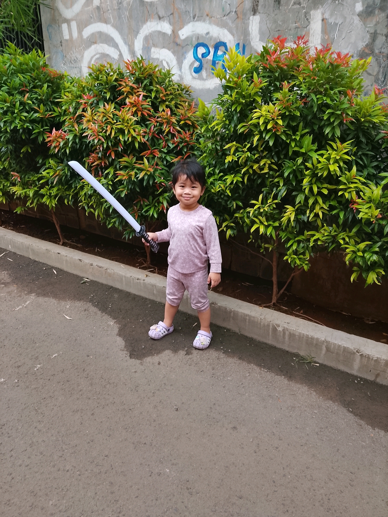 In South Tangerang, Indonesia, a young child stands outdoors, holding a toy sword. The child is wearing a light pink pajama set and light purple sandals. Behind the child, a wall with graffiti serves as a backdrop, with a dense line of green bushes, some featuring new red-tinged leaves, separating the child from the wall. The ground is paved with asphalt, and a concrete curb runs along the edge of the bushes. The overall scene suggests a casual outdoor setting, possibly a residential area or public space.