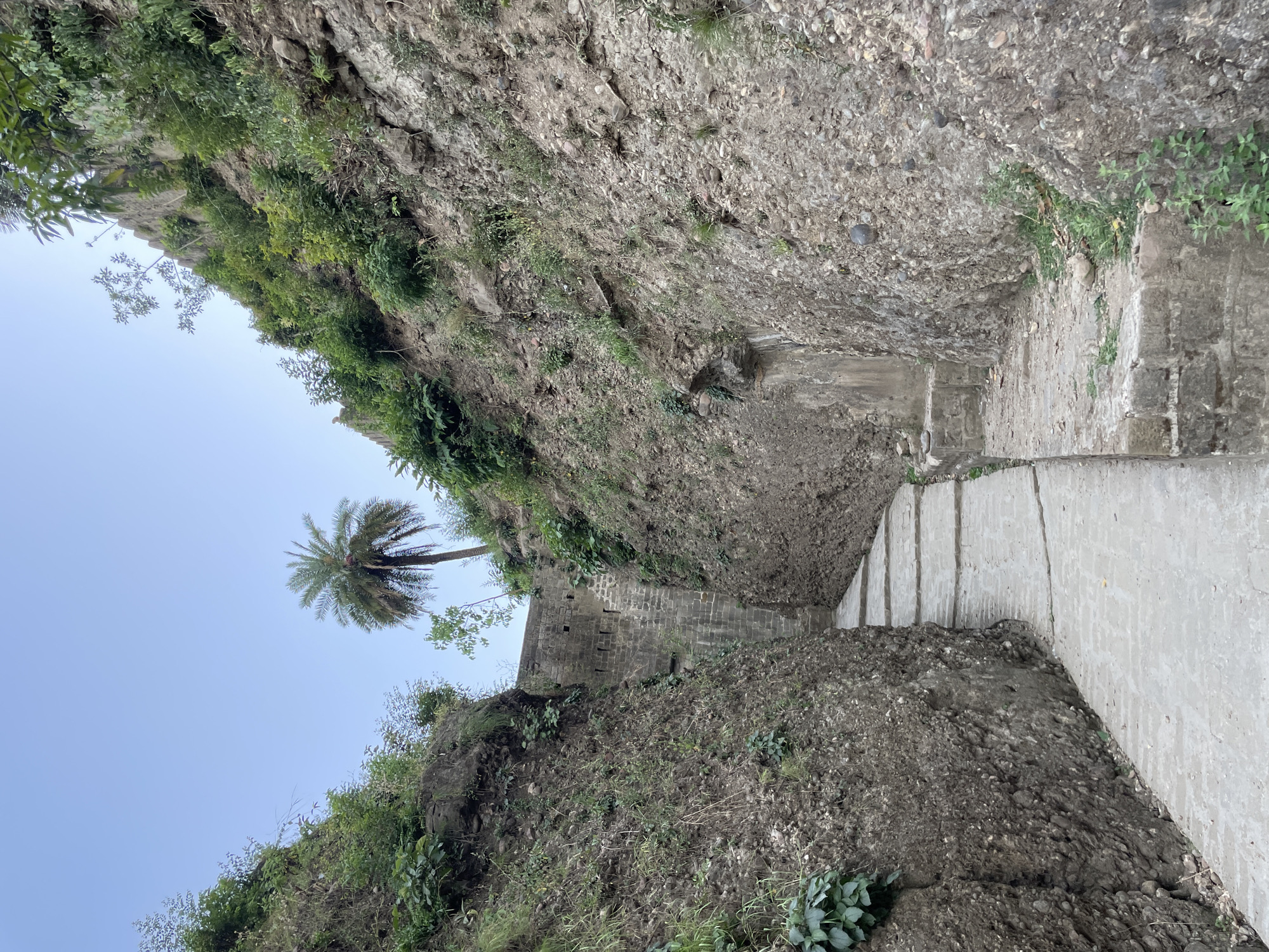 The image shows a narrow stone pathway, possibly a staircase, flanked by steep, rocky walls covered with vegetation. A palm tree is visible against the sky on the left side. The location is presumably Kaswara, India. The scene appears to be a natural passage or walkway carved through the landscape. No people or distinct subjects are identifiable.