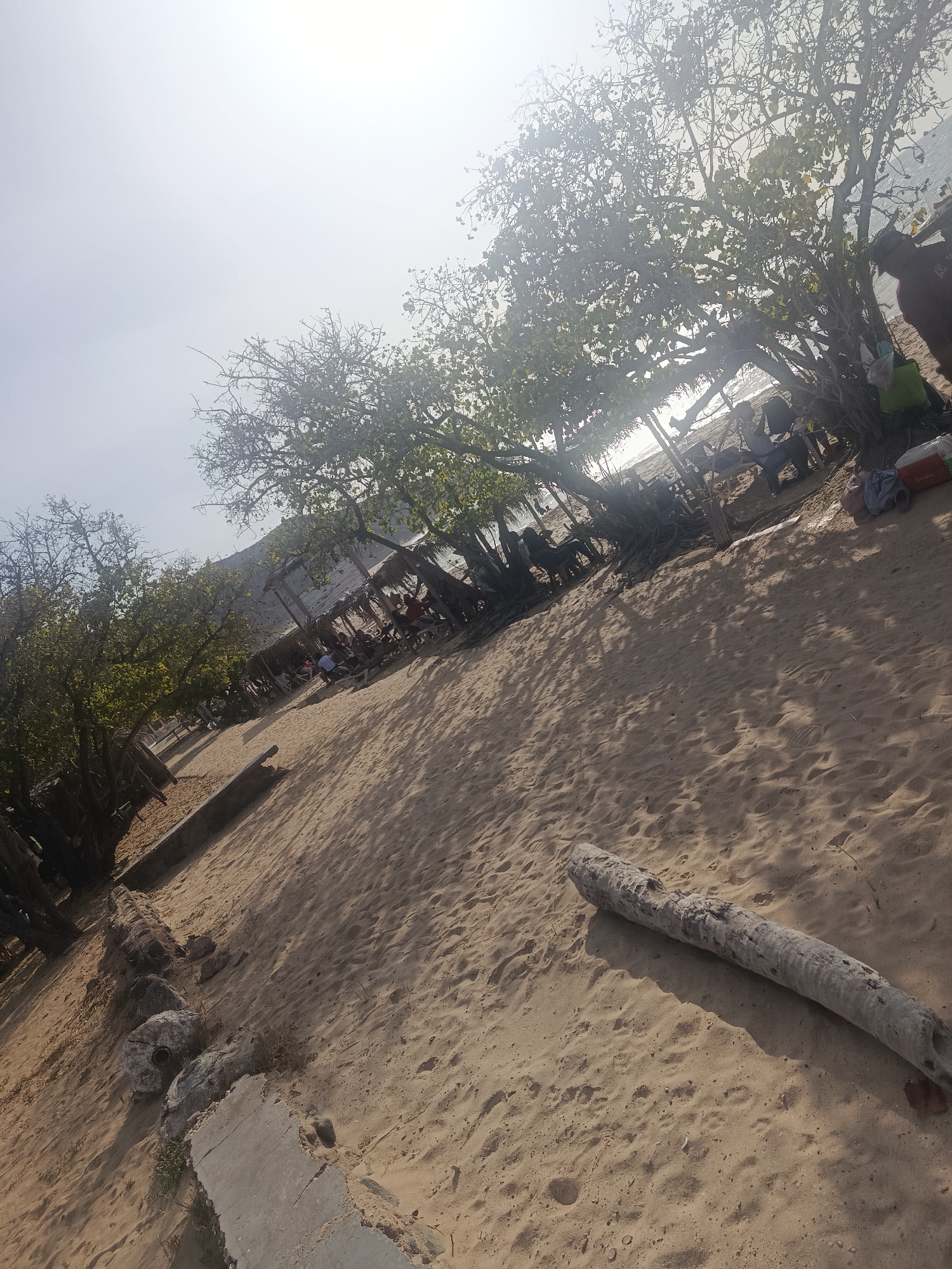 The scene is a beach in Altagracia, Venezuela. Sandy ground dominates the foreground, with a large log lying diagonally across the lower portion of the image. To the left are remnants of a concrete structure, and further back, the base of trees. In the midground, a line of trees provides shade for beachgoers. Underneath the trees are people sitting in chairs and relaxing in thatched-roof structures. In the background, the ocean is visible. The light is bright, indicating a sunny day.