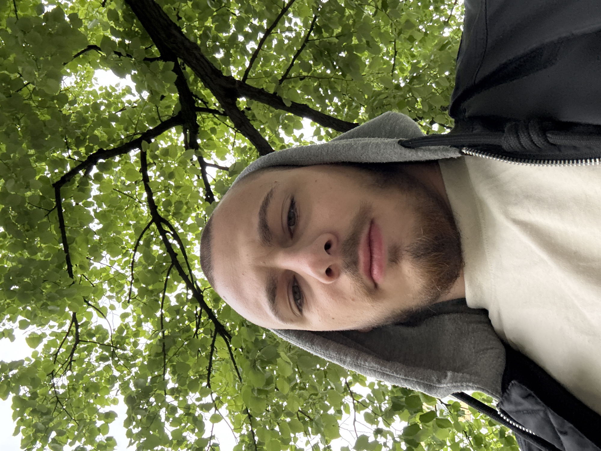 The image is a vertical, low-angle selfie of a young man, taken outdoors in Stara Zagora, Bulgaria. The man's head is tilted, and he looks towards the camera with a neutral expression. He has short hair and light stubble/beard. He is wearing a grey hooded sweatshirt beneath a dark, possibly black, jacket with a silver zipper.
The background is a vibrant canopy of green leaves and tree branches, seen from below. Bright patches of sky are visible through the foliage, suggesting an overcast or bright daytime setting. The fresh appearance of the leaves indicates a spring or summer season. The overall scene conveys a natural, serene outdoor environment. There is no visible text in the image.