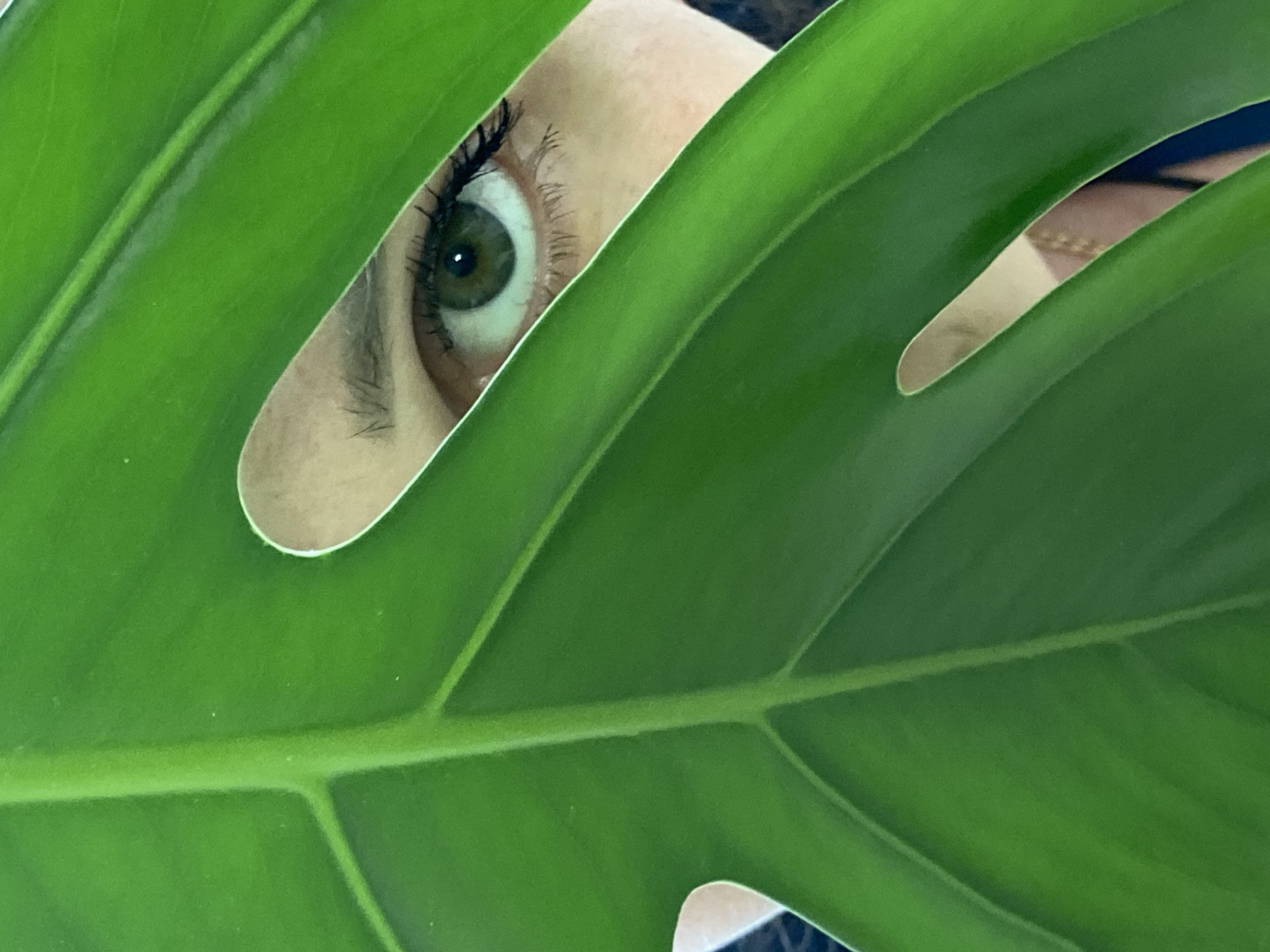 A close-up image shows a person's eye peeking through a large, vibrant green monstera leaf. The eye is green, with dark lashes. The leaf fills most of the frame. The location is not discernible from the image, so "Марковский, Russia" cannot be confirmed or denied.