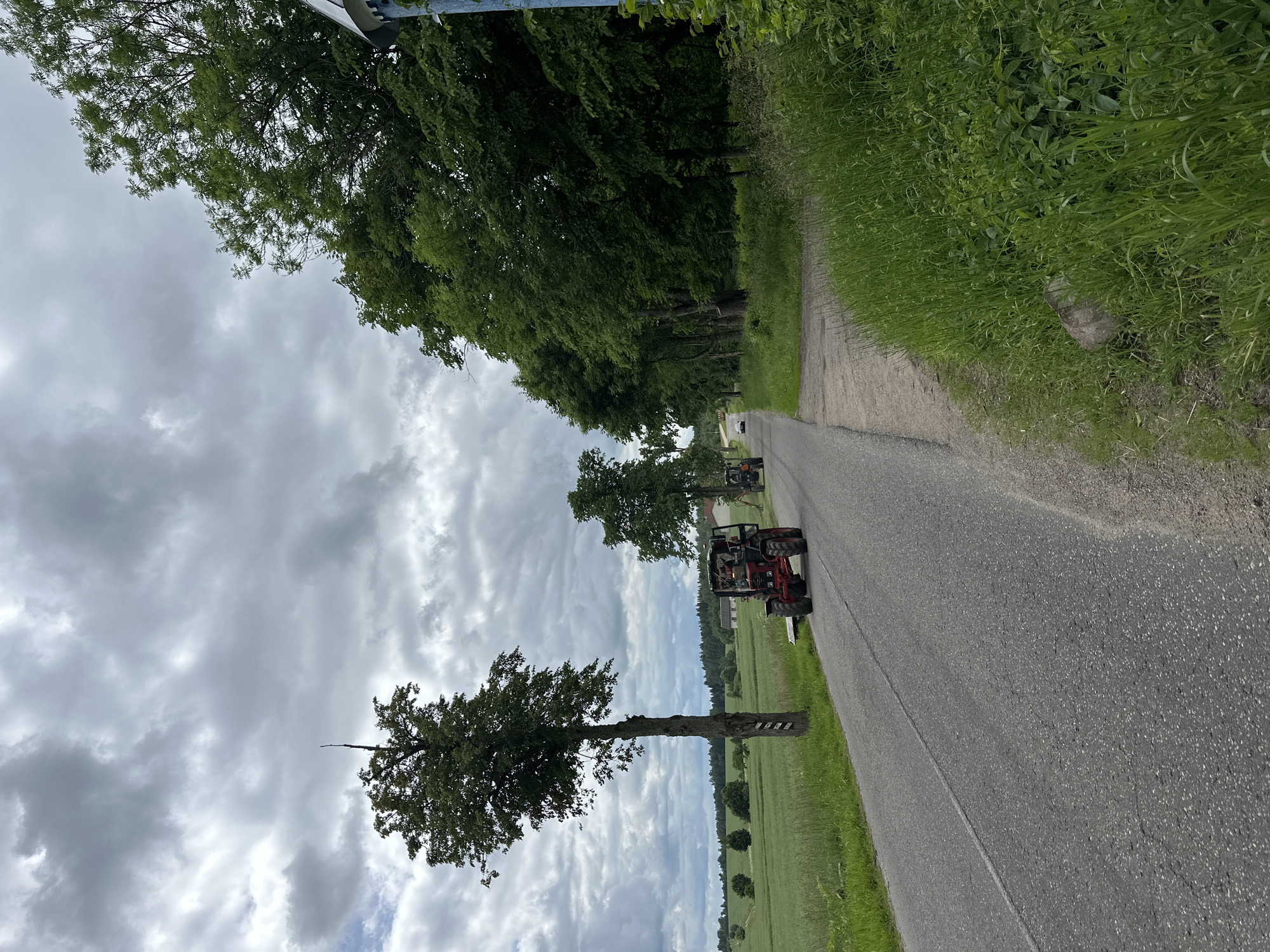 A paved road runs through a rural area with overcast skies. On the left side of the road, a tall tree with a split trunk stands beside a green field. Further down the road, a red tractor with a trailer is visible, and another orange tractor is parked in the distance. To the right of the road, a dense line of trees forms a natural border, with a blue and white structure at the far right edge of the frame. The grass along the roadside is tall and green, with a large rock visible in the foreground. The image appears to be taken in Хаценчыцкі сельскі Савет, Belarus, given the context of the rural setting and the presence of agricultural machinery.