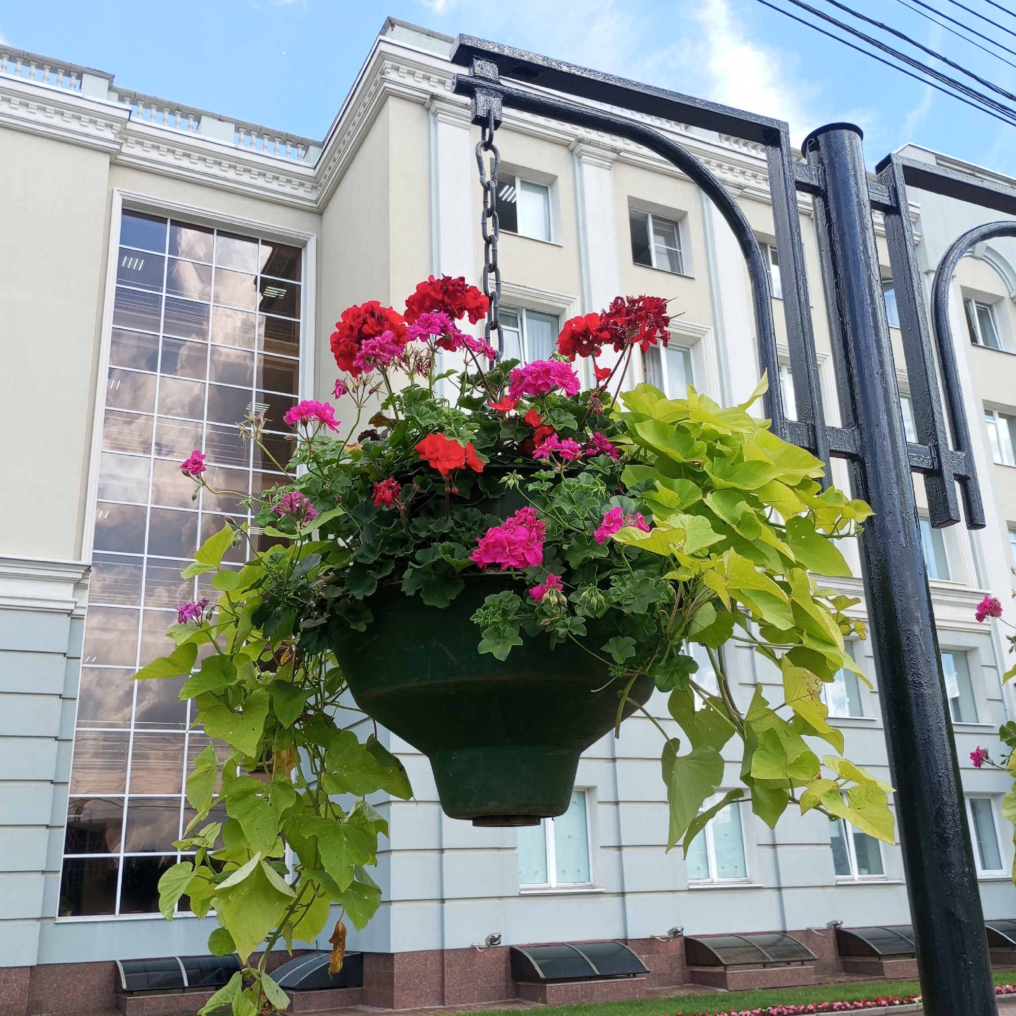 The image captures a close-up view of a hanging planter filled with red and pink geraniums and trailing green vines. The planter is suspended by a black metal chain from a decorative black metal pole, which is also visible in the foreground. Behind the planter and pole, a light-colored building with multiple windows and architectural detailing is present. The sky above is blue with scattered clouds. The scene is set in the city of Izhevsk, Russia.