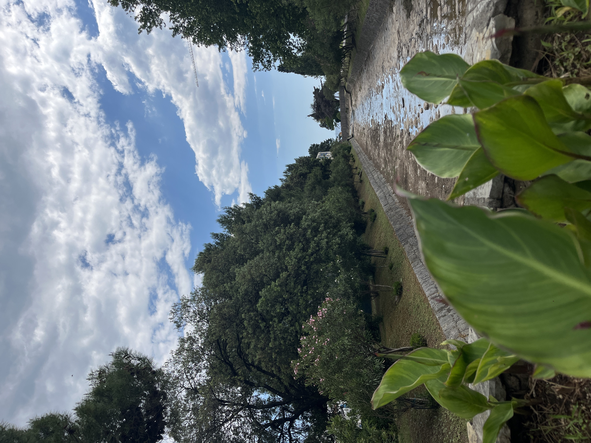 The image captures a canal in the city of Budva, Montenegro. The canal bed is visible and bordered by a stone wall on both sides. Lush green trees and vegetation line the canal banks. The sky is blue with scattered white clouds. A utility pole or crane is visible in the distance. Large green plants are in the foreground, partially obscuring the canal. The picture is taken from ground level with an upward angle.