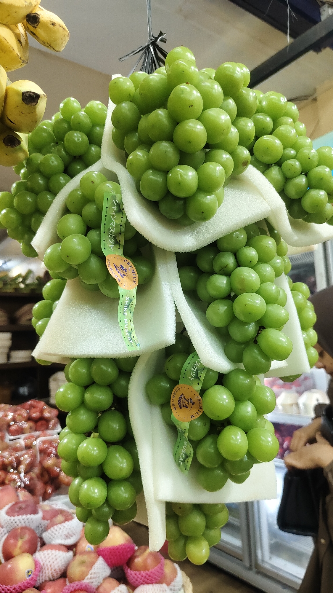 In Malang, Indonesia, a vibrant fruit stall displays a bounty of fresh produce. Prominently featured are several bunches of green "Shine Muscat" grapes, each adorned with a "Premium" label. These grapes, known for their crispness and sweet flavor, are carefully arranged and supported by white foam packaging. To the left, a bunch of ripe yellow bananas hangs, their peels showing slight blemishes. In the foreground and background, various other fruits are visible, including red apples packaged in protective netting and containers filled with what appear to be small red berries, possibly strawberries. A person's hands are partially visible on the right, reaching towards a black bag, suggesting a transaction or preparation to leave. The lighting suggests an indoor market setting.