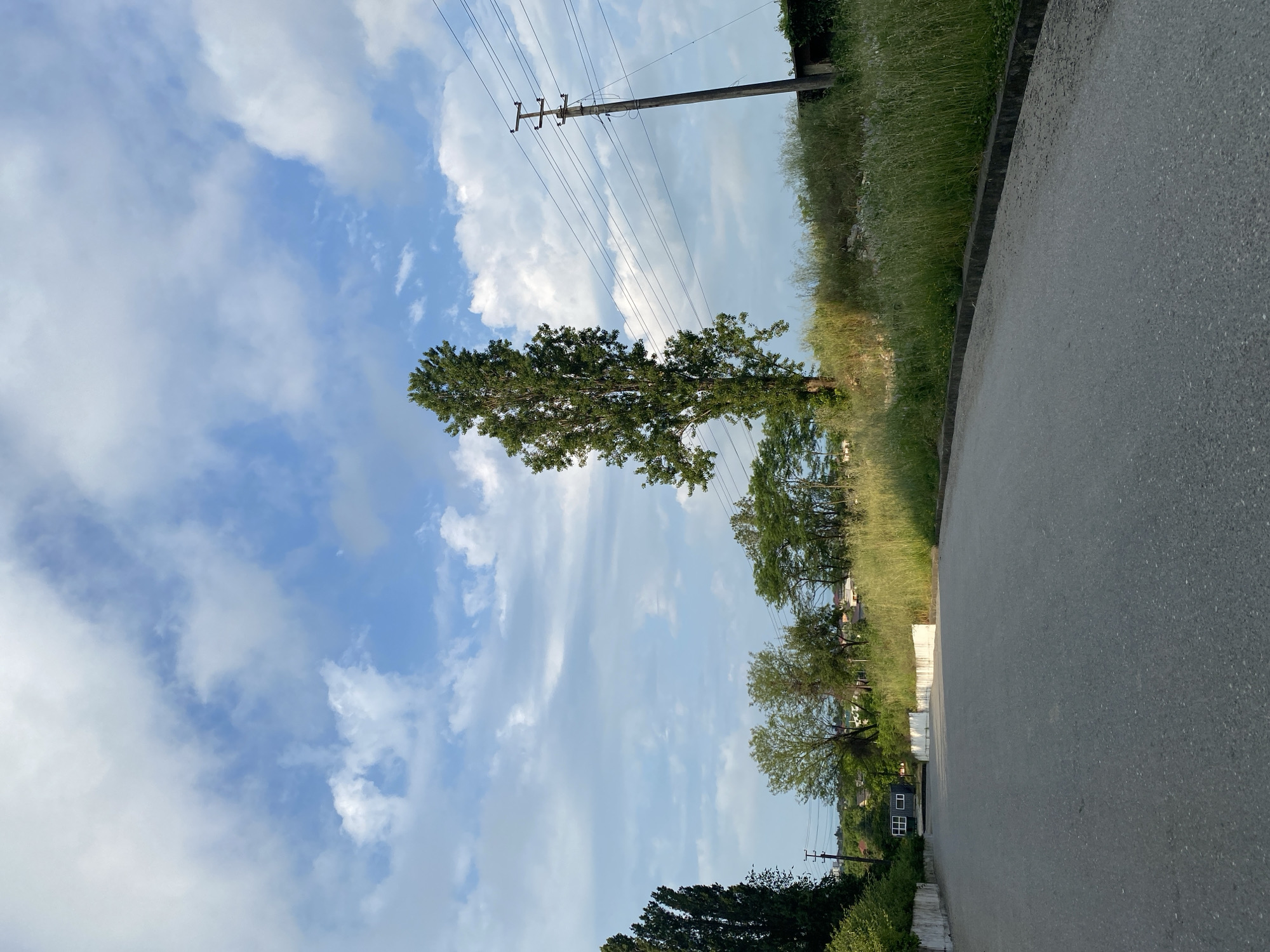 This is a wide shot of a paved road leading into a rural area. The road is grey asphalt and has a slight curve to the left. On the right side of the road, there is tall, dry grass and a utility pole with power lines. In the distance, there are trees and houses. A tall, thin tree stands in the middle ground, to the left of the utility pole. The sky is blue with scattered white clouds.
