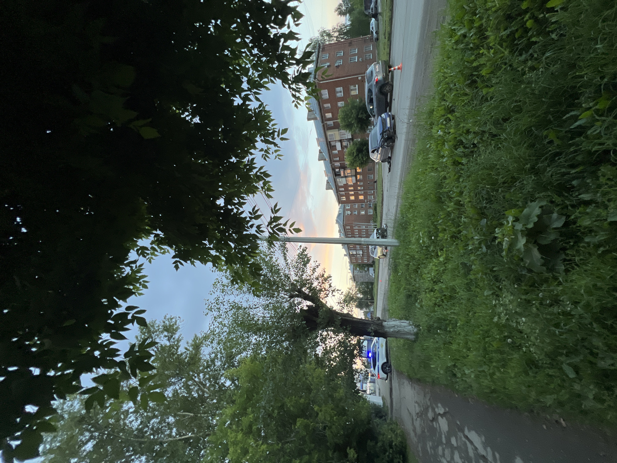 The image shows a street scene in Izhevsk, Russia, with apartment buildings lining one side of the road and a grassy embankment on the other. The time of day appears to be either early morning or late evening, as indicated by the soft, diffused light and the pastel colors in the sky. The weather seems to be overcast or clearing after rain, as the pavement is wet in places.
In the foreground, a tree with dark green leaves partially obscures the view. On the street, there are several vehicles, including a police car with its blue and red lights flashing. Two other cars are visible further down the road, one of which appears to have sustained damage to its front end. An orange traffic cone is placed near one of the damaged vehicles, possibly indicating a hazard or an accident.
The apartment buildings are typical of Soviet-era architecture, with multiple stories and evenly spaced windows. Some of the windows are lit, suggesting that people are inside. The overall impression is one of a quiet residential street, but the presence of the police car and damaged vehicles hints at a recent incident. No people are clearly visible in the image. There is no visible text in the image.