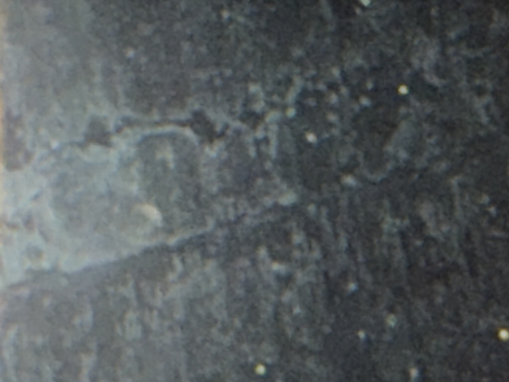 The image shows a close-up, out-of-focus view of a dark, textured surface, likely a wall or ground, with several small, bright white dots scattered across it. There is a lighter, vertical, irregular shape in the upper center of the image, possibly a crack or a natural feature in the material. The overall impression is one of grit and imperfection. The specific location in Wildwood, United States, is not identifiable from the visual information provided.